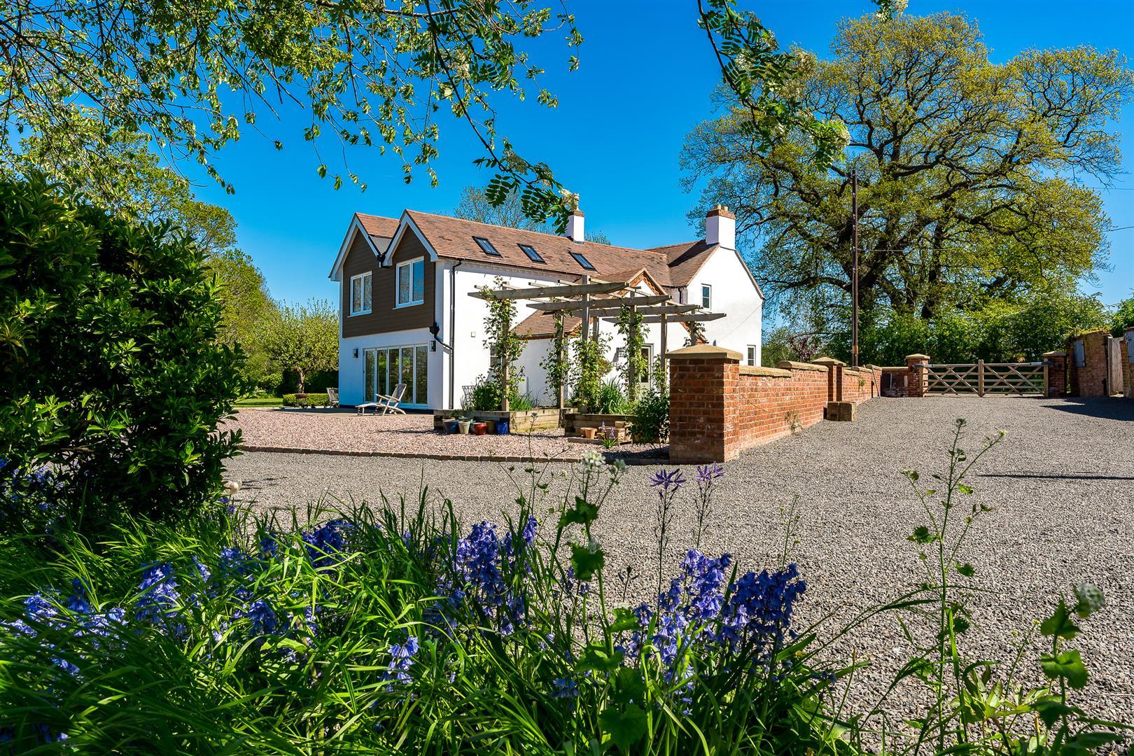 Property Image 79bf2af7-02c0-48bb-8f49-61ac858a6e77