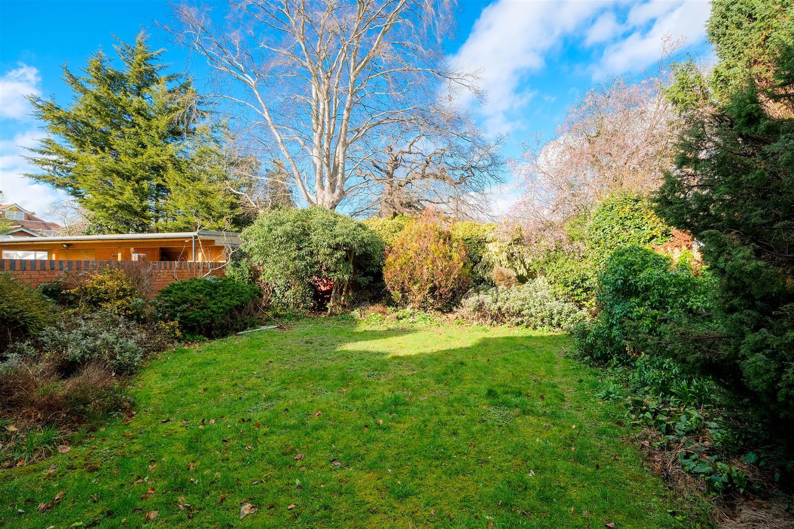 Property Image 79c4b496-6a2a-4743-9c2b-93eafad3955a