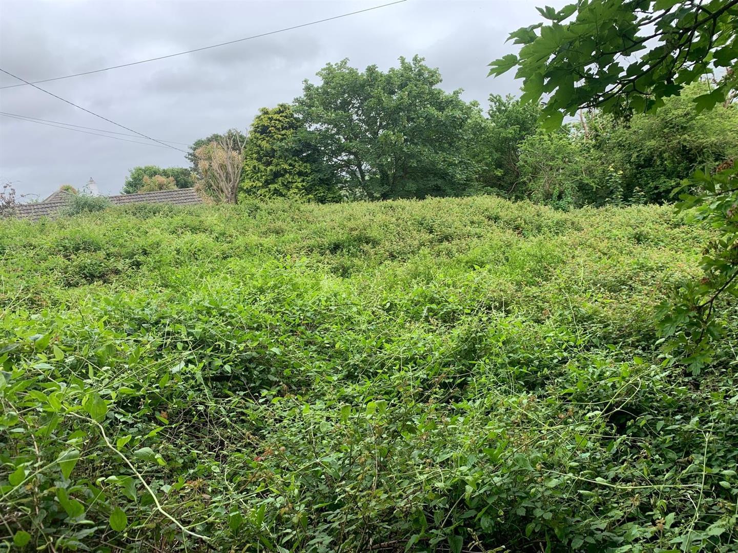 Property Image 79c527ae-e8cf-46f1-b13e-711b4e5ef4d4