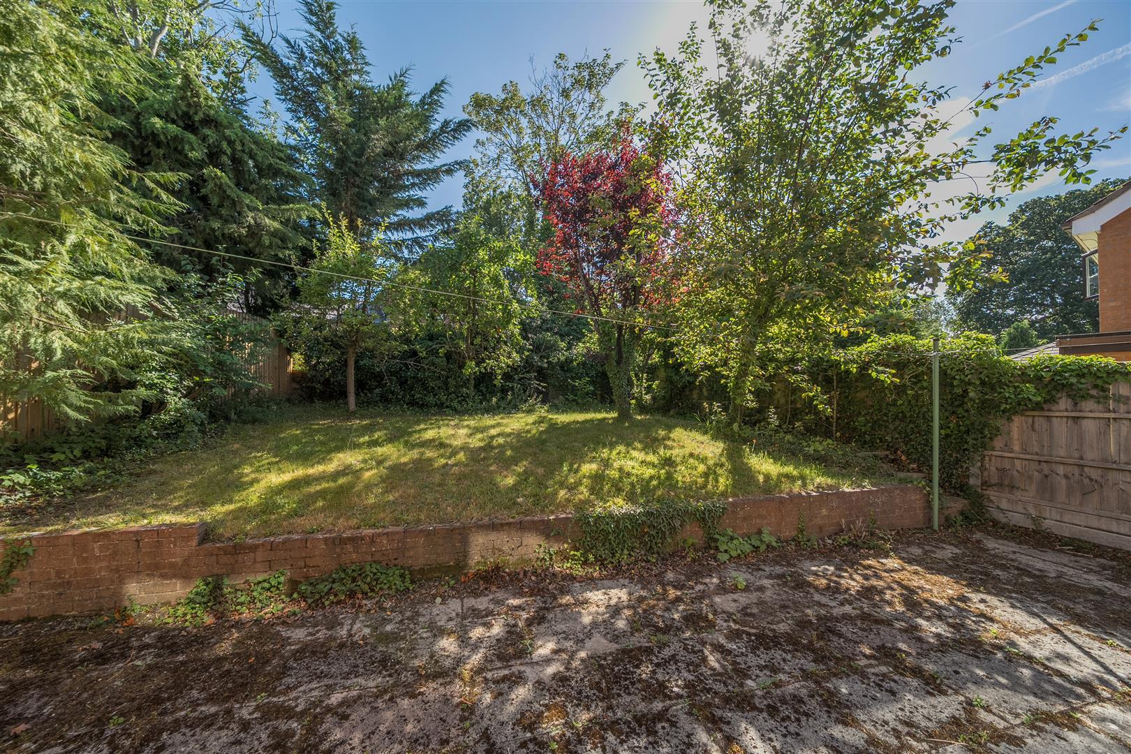 Property Image 79ca9f85-e7f7-4552-9ce1-263ca62588f0