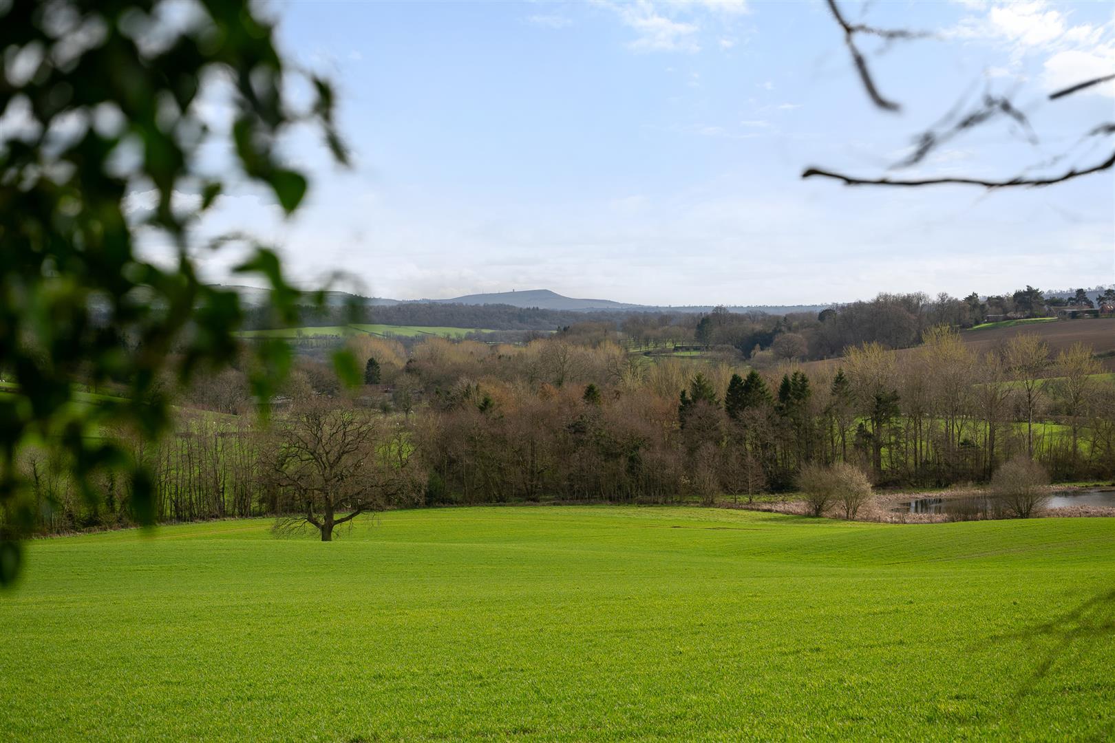 Property Image 79ea5511-7821-45f6-ba59-47291a477dab