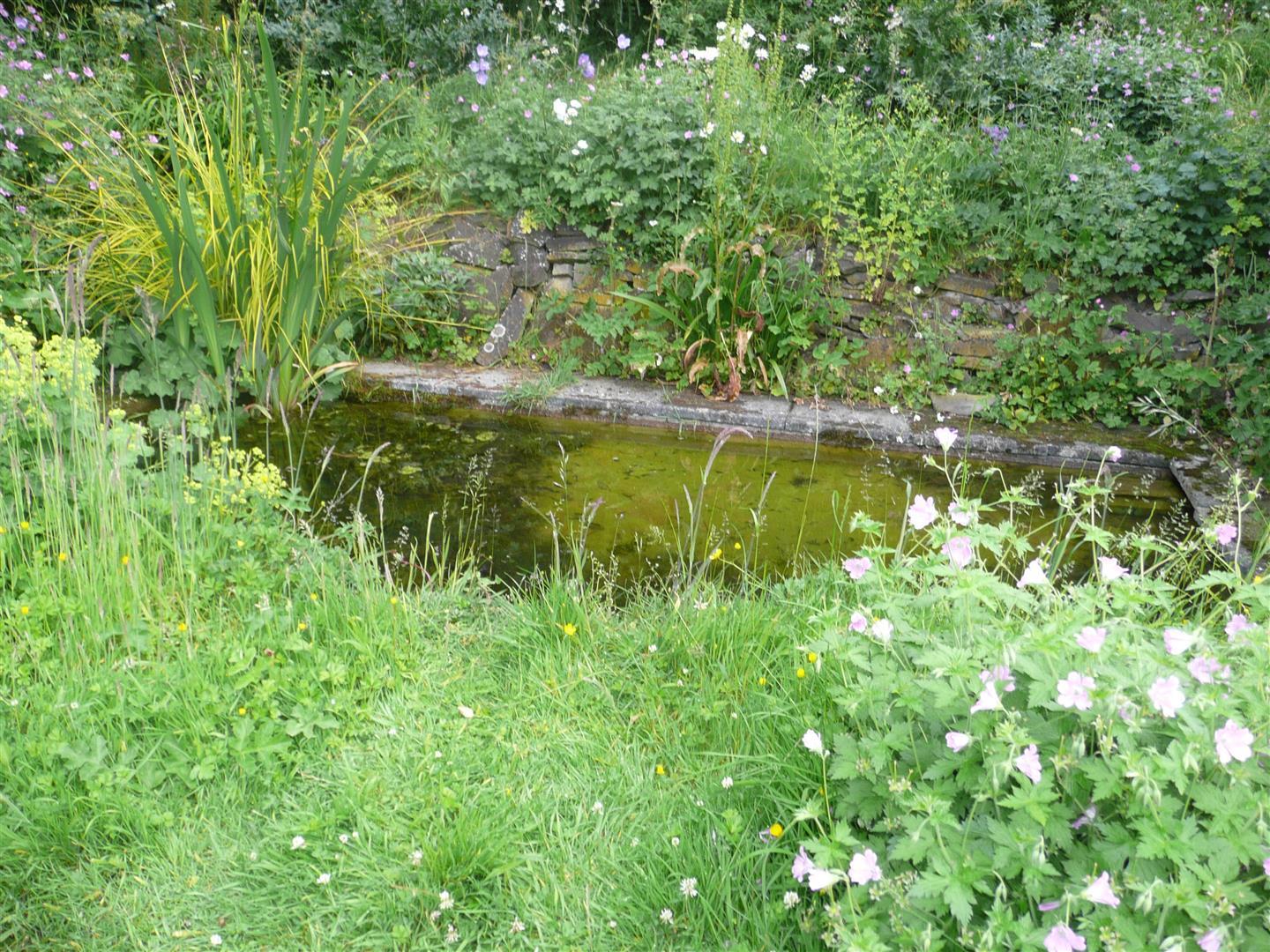 Property Image 7a17fdc2-fef7-4ea3-a41b-6bc6839dd93d