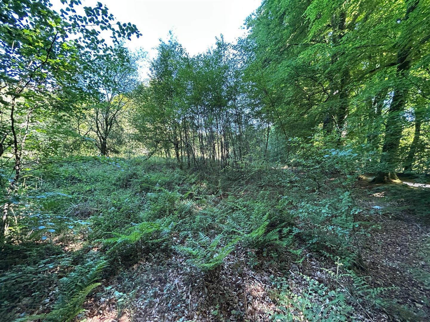 Property Image 7a3c5db1-ab1f-4022-8834-87698b57091c