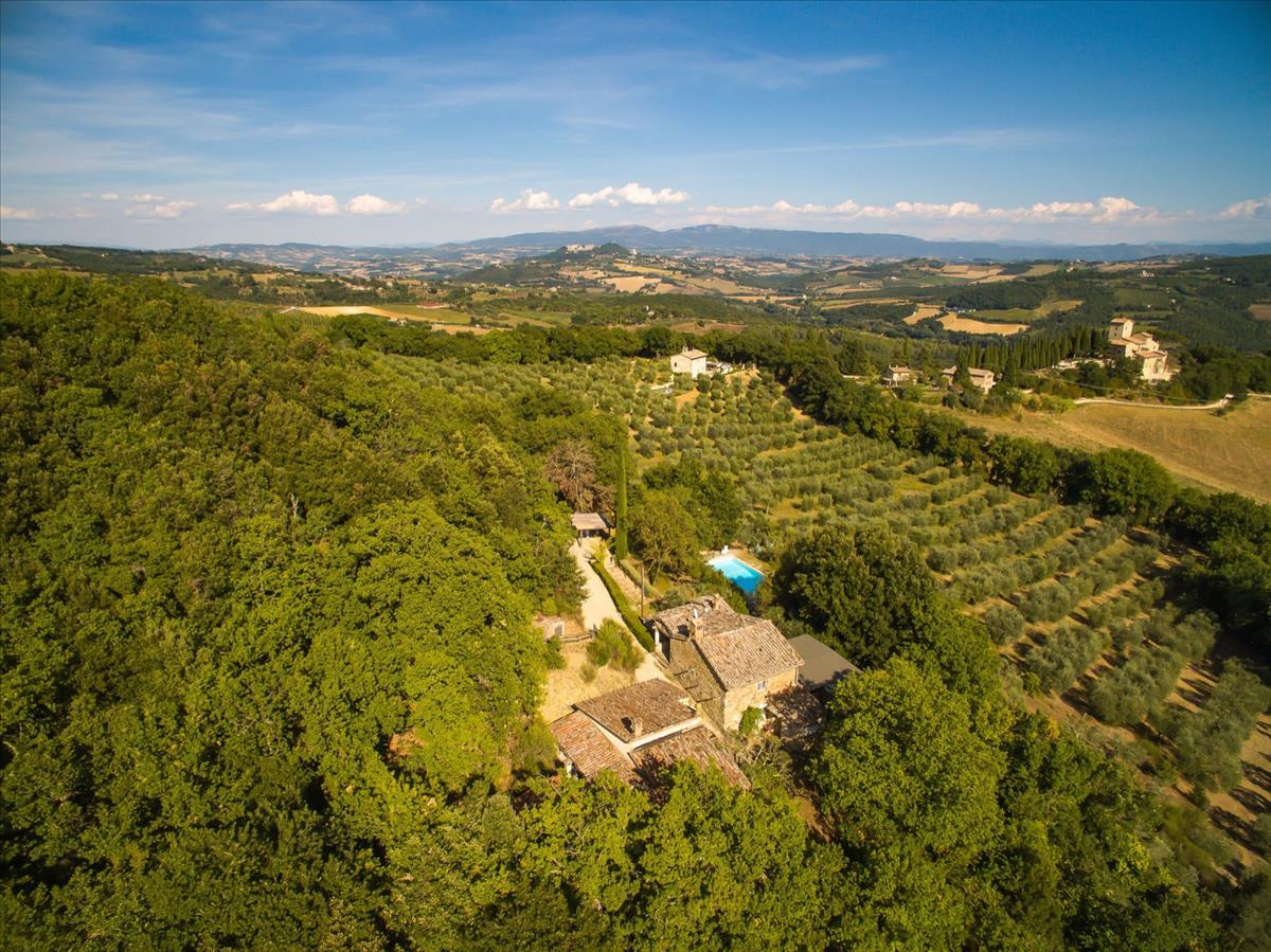 Property Image 7a45f732-fc2d-418f-99be-b88677fcb343