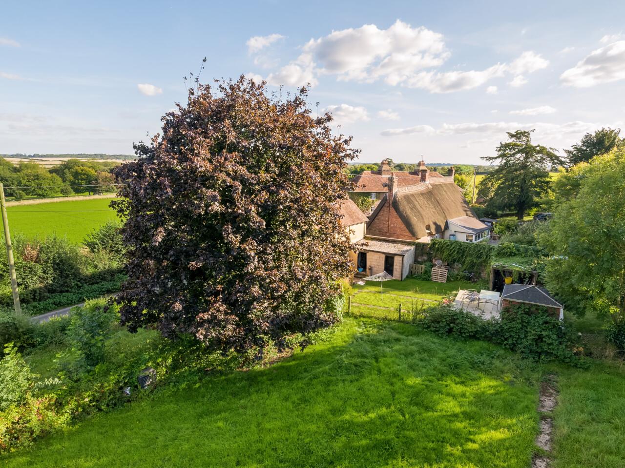 Property Image 7a50d403-dbd1-4a0b-87ef-0acc6efa05f1