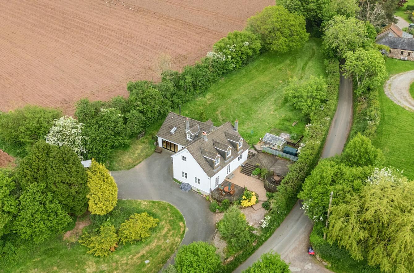 Image 25