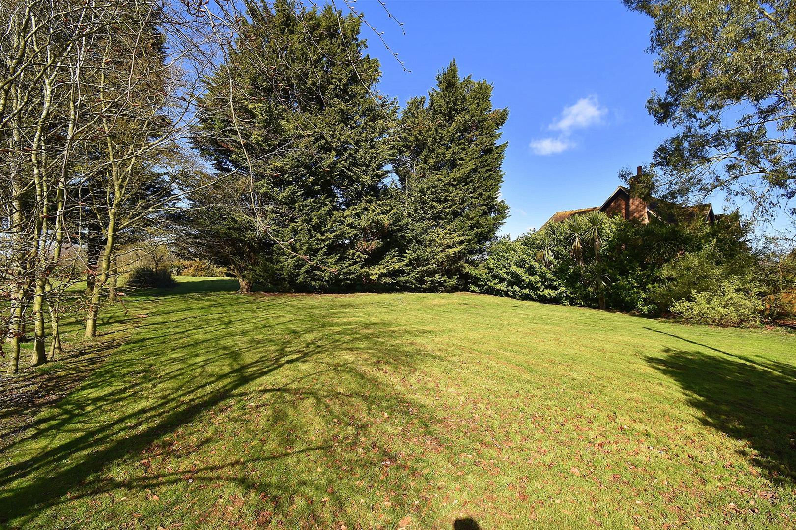 Property Image 7ad17afd-c277-4267-9b2f-40b29d58b8d7