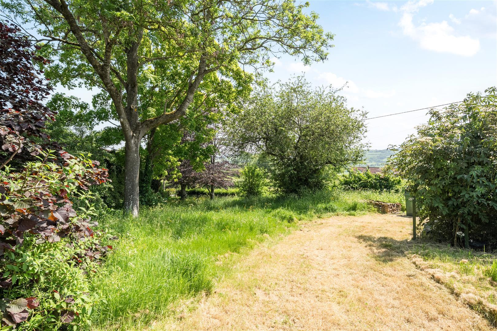Property Image 7b1fde12-1df2-4f2f-89f1-59e2e6ff0e85