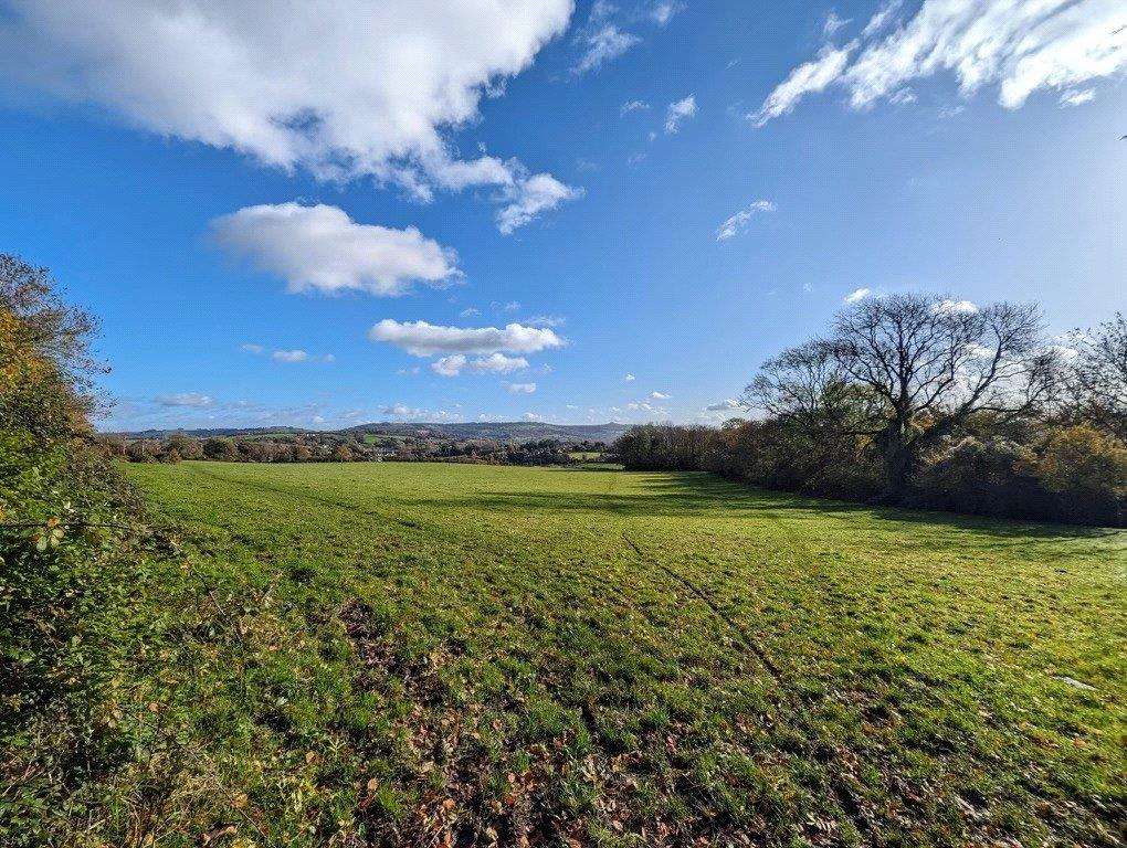 Property Image 7b3cd38d-5733-48e0-a834-bfc03506db3d