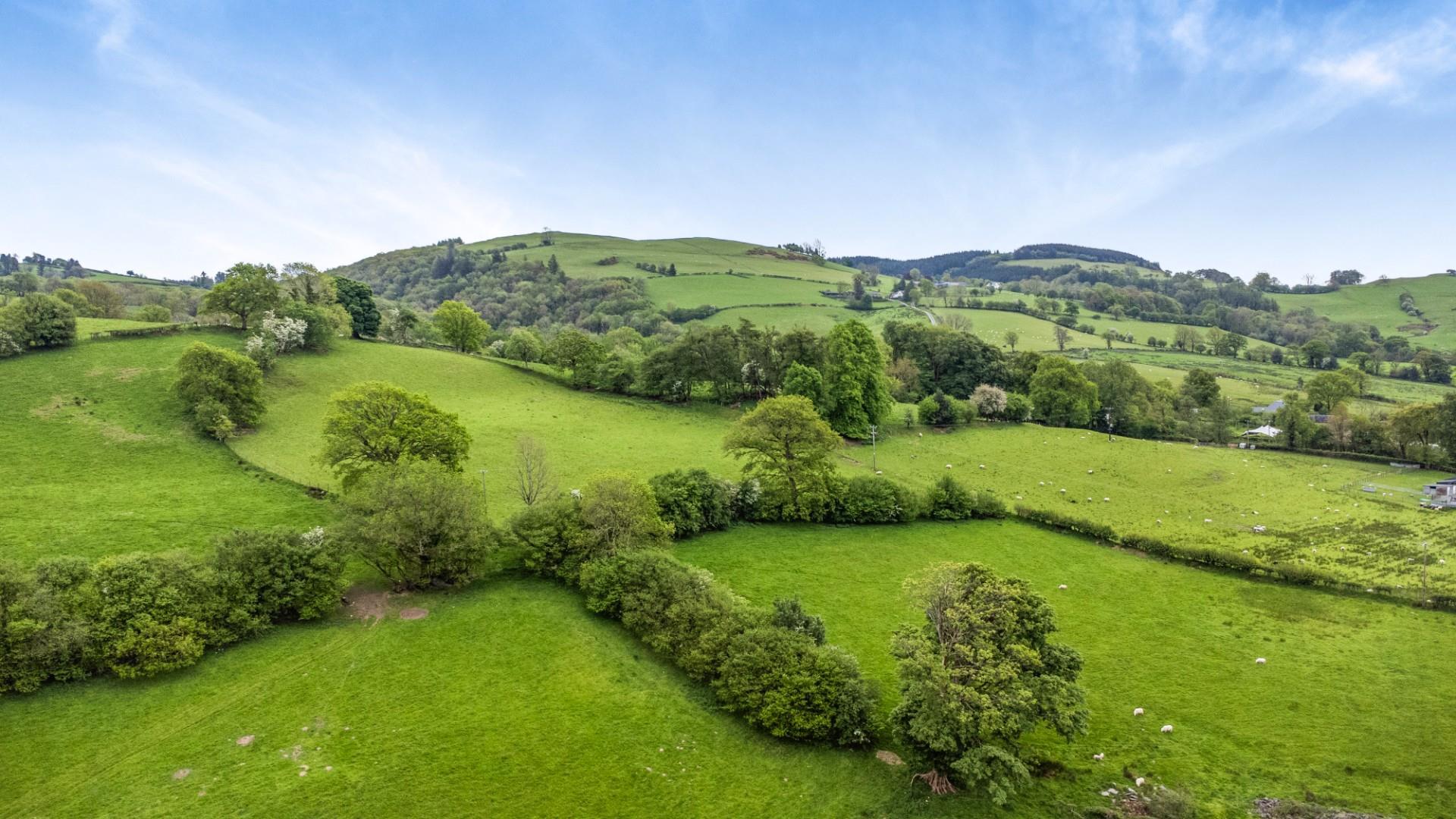 Property Image 7b63fa0c-02a4-4966-ab87-4638e35c378a