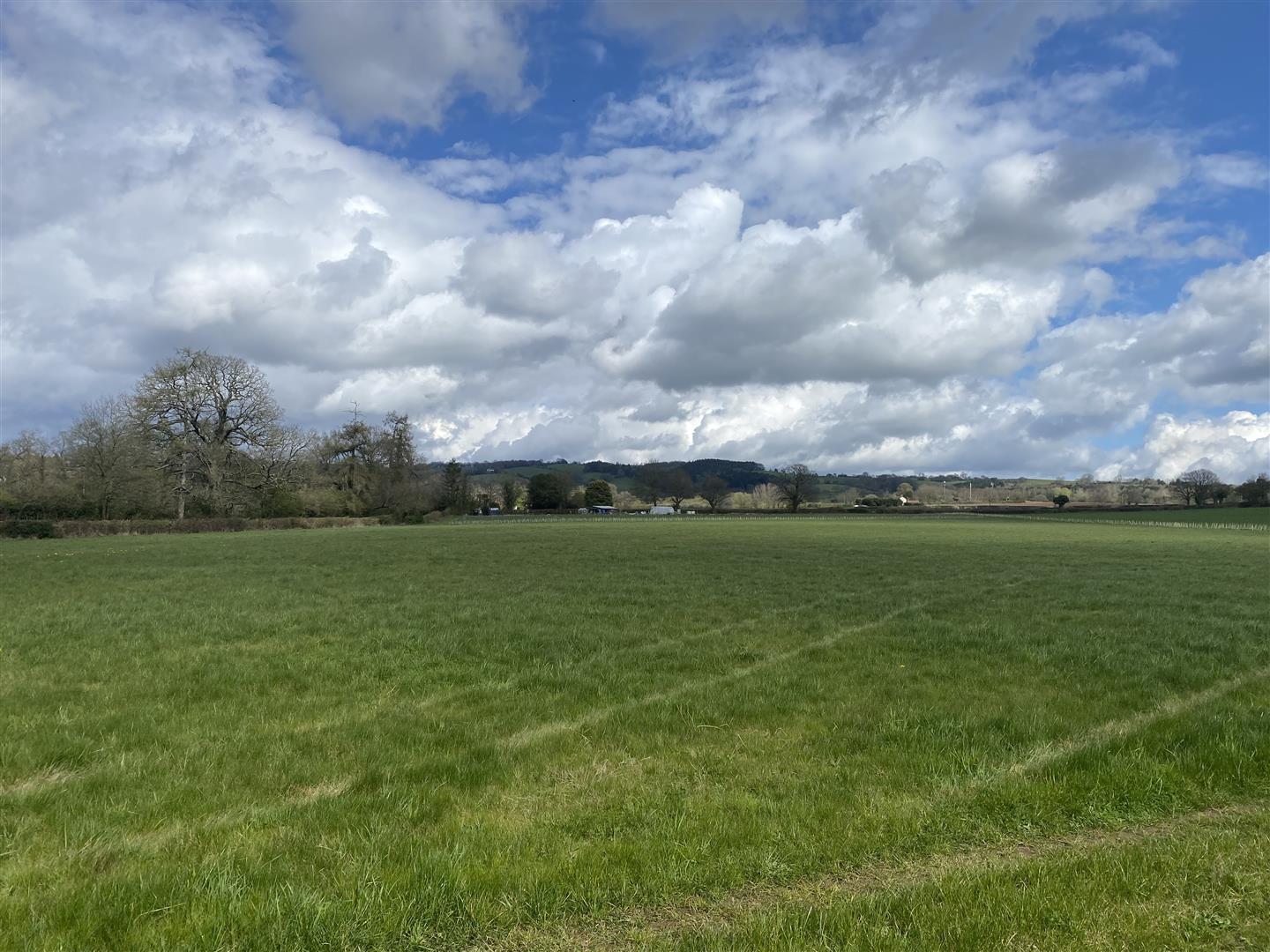 Property Image 7b72f71f-8776-4af8-be15-795440449747