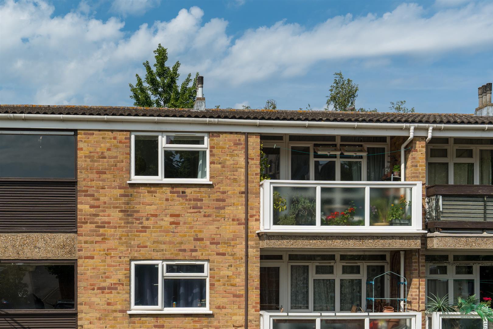 Image 15