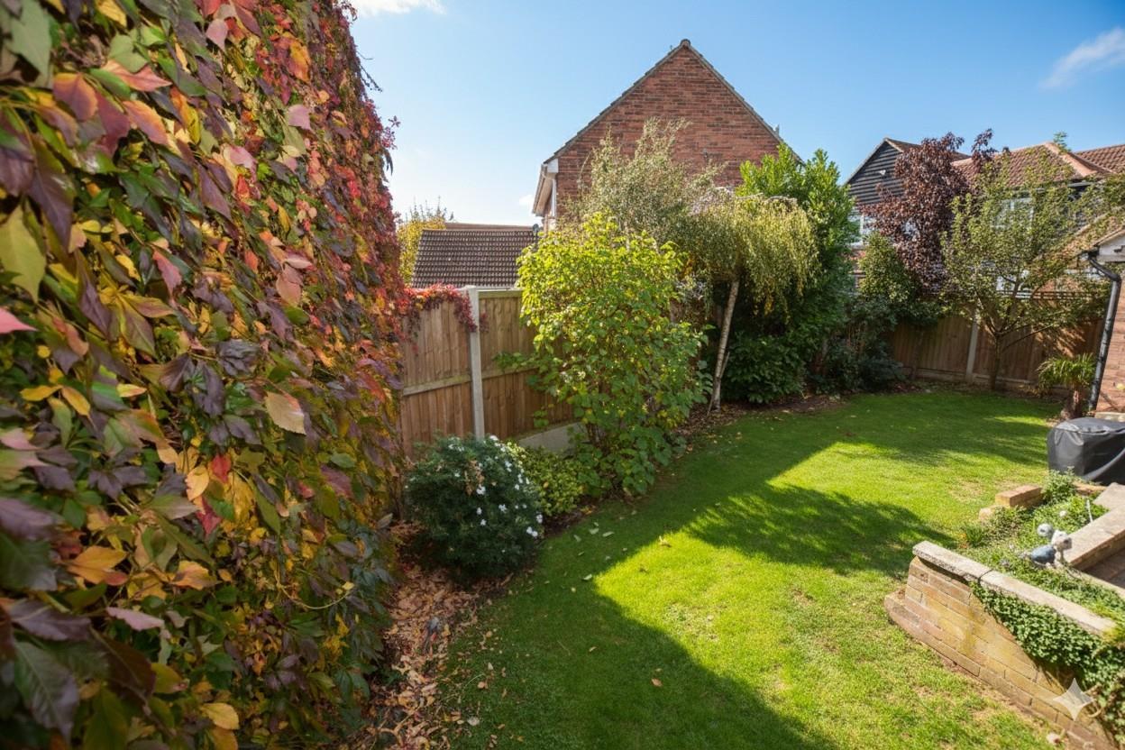 Property Image 7b8be168-da55-4930-8d25-769902d83331