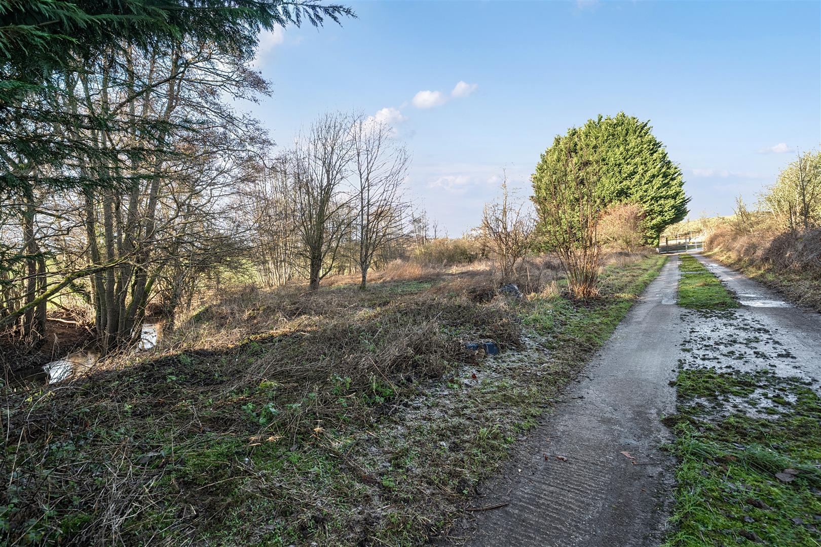 Property Image 7b905c91-4292-4d74-8941-00fd80318906