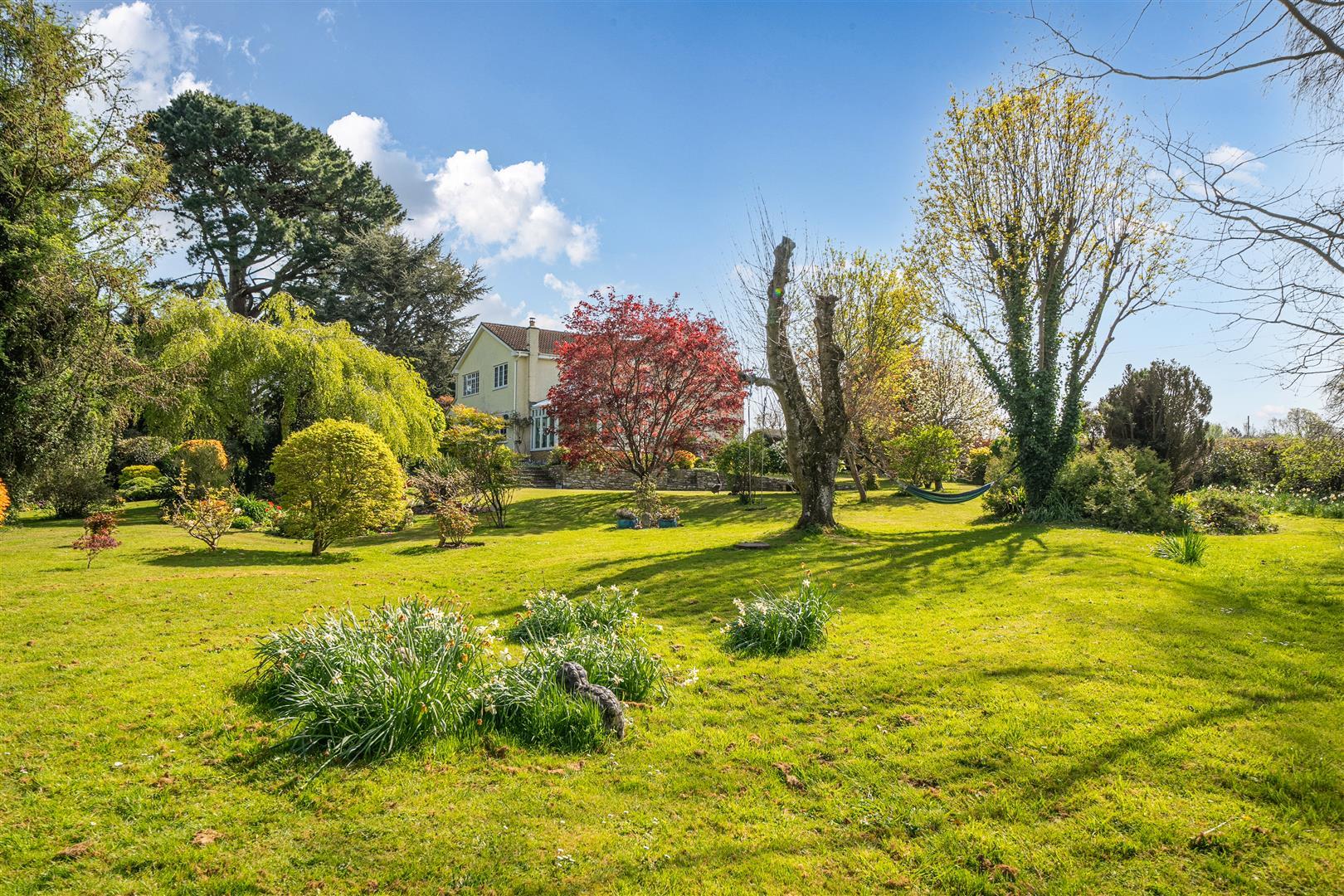 Property Image 7bbba0f3-811b-4891-a113-bf3a7320e1d4