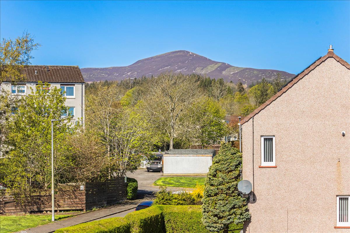 Property Image 7bc7cbb1-0ca4-4611-a4f8-77985934da35