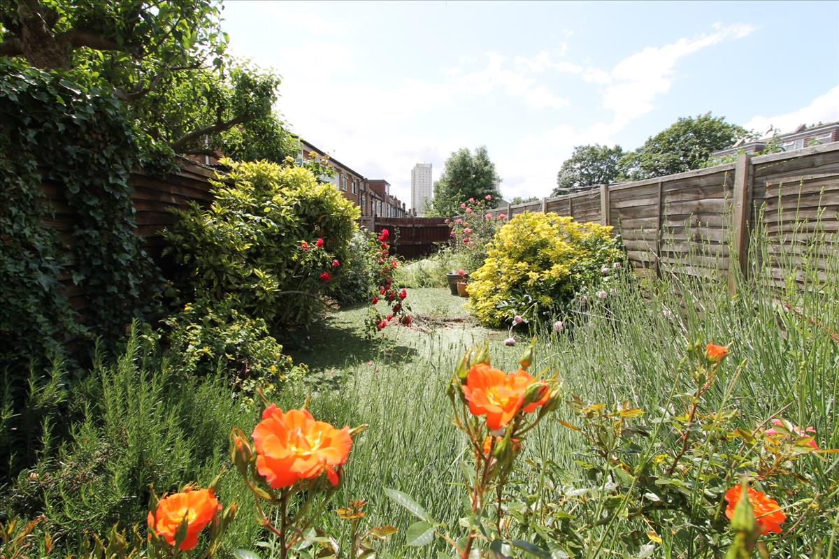 Property Image 7c094cdc-68d0-406e-ba46-0117957d5d04