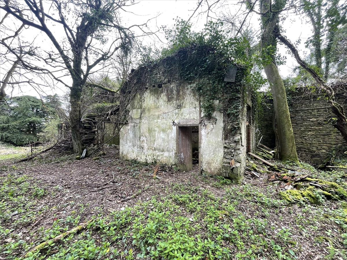 Property Image 7c299edb-07e8-4c34-9e49-99880b7bafa8