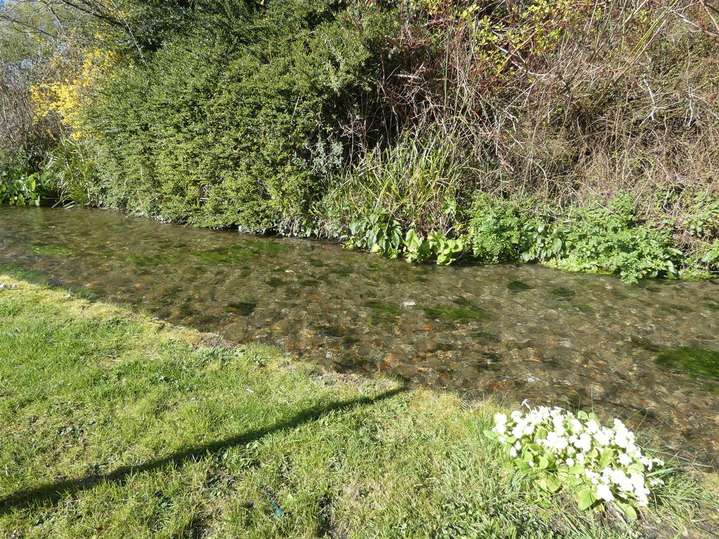 Property Image 7c3dd182-cf0d-4509-837a-3e58a51ee3ac