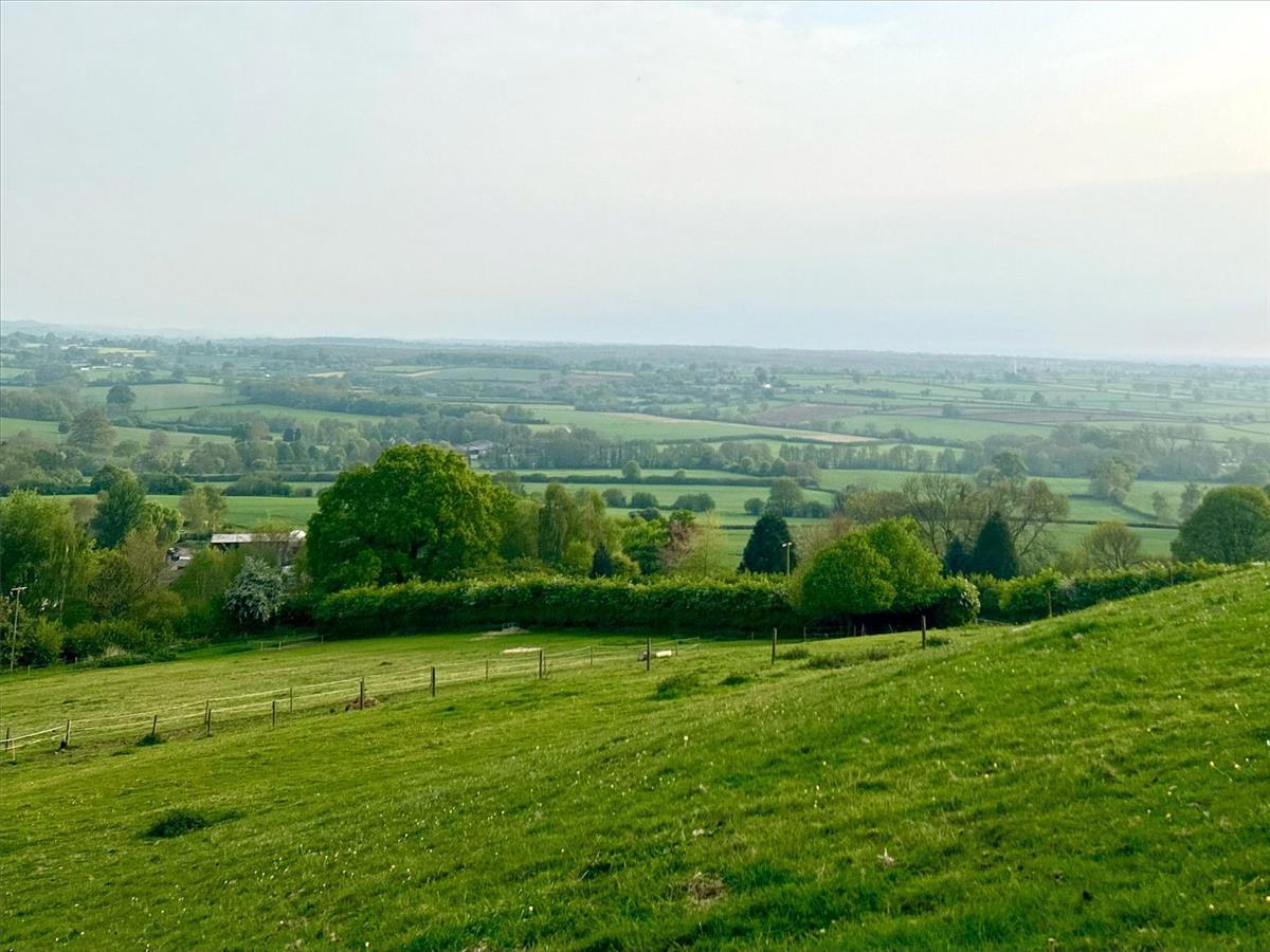 Image 27