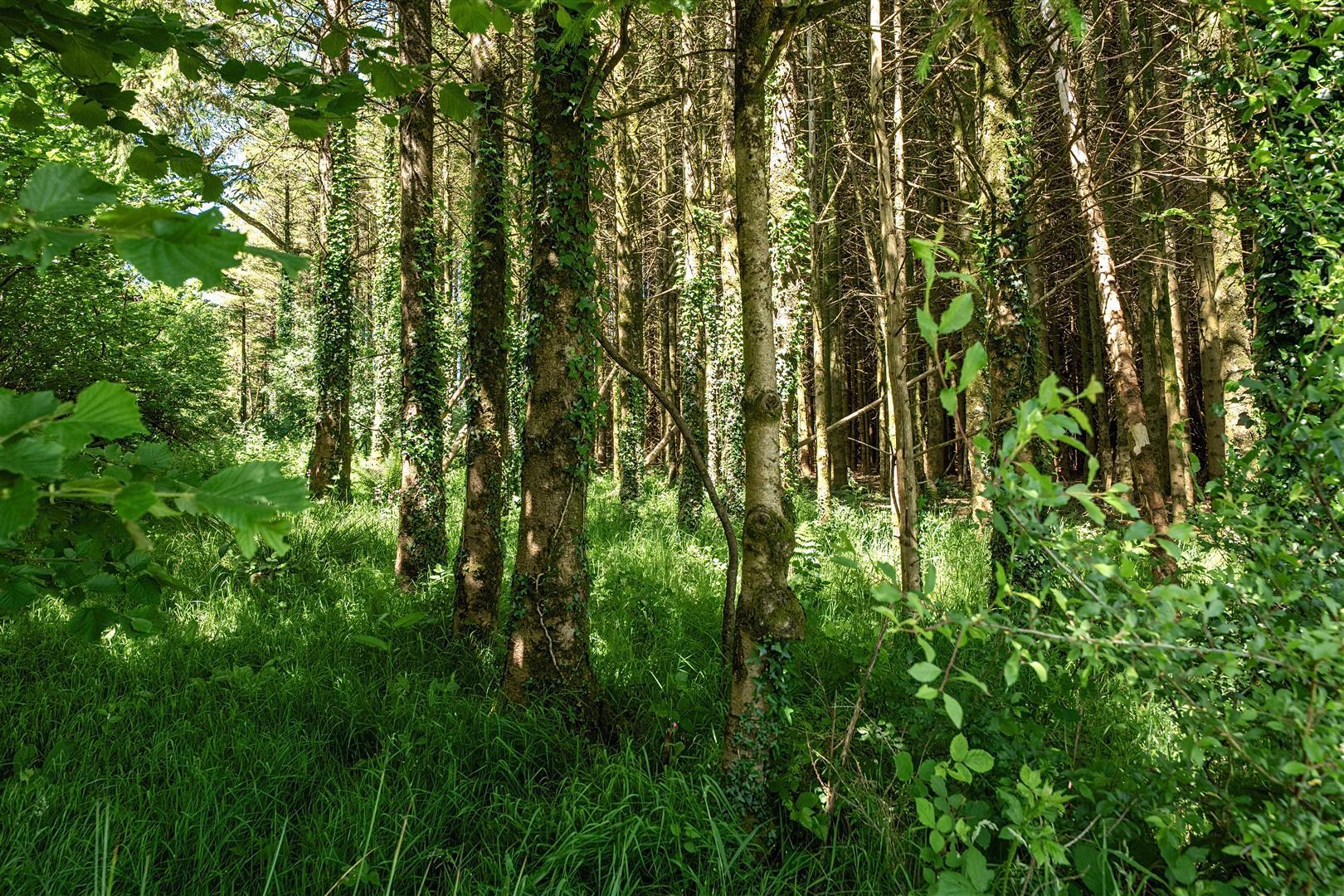 Property Image 7c63e1e3-286d-4ada-96da-b6ea81a80752
