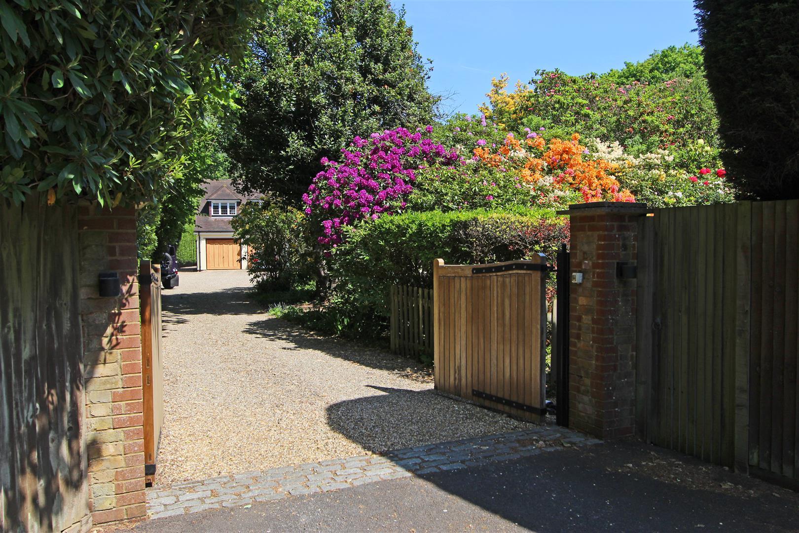 Image 29