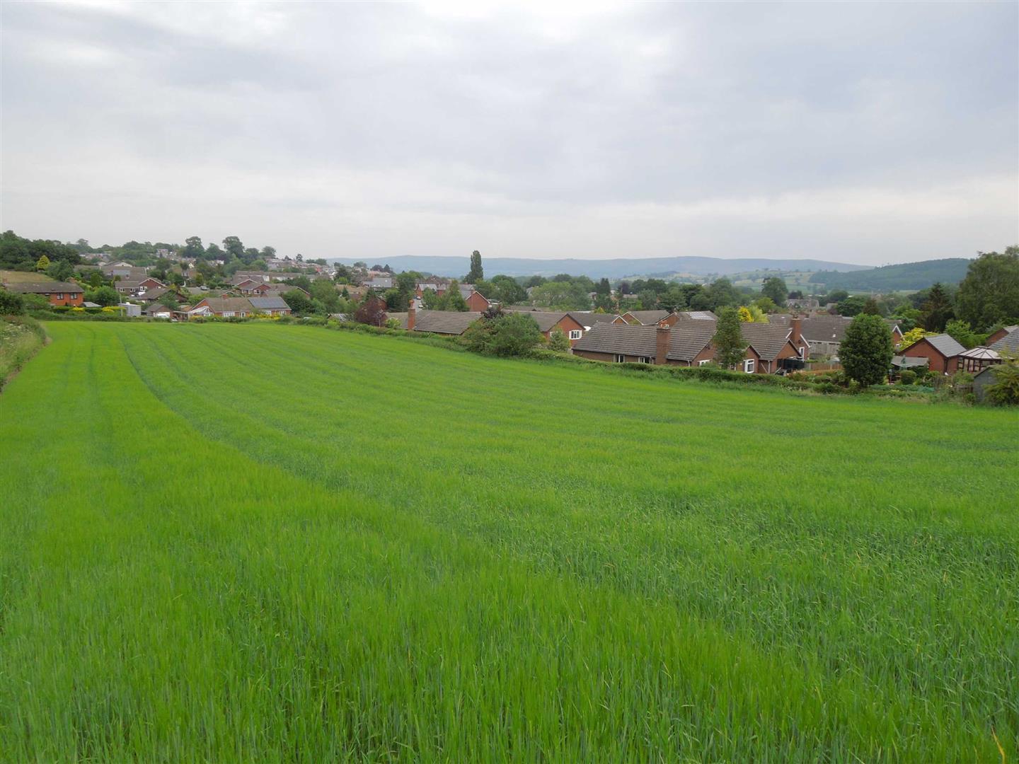 Property Image 7cc6e98a-8c8b-4afa-9f7c-236b439235b4