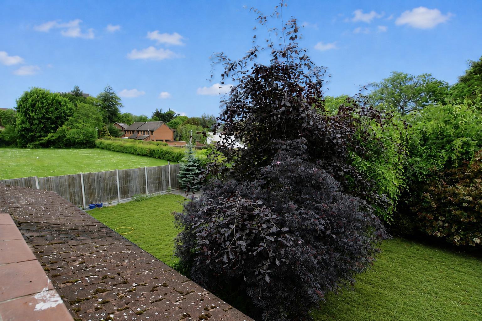 Property Image 7cd46bf3-5a29-4cd5-b2d0-b6df2c342c04