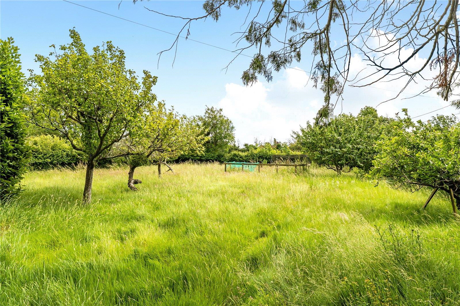 Property Image 7d15c44c-ac5c-4402-a6eb-2b59c7251ffe