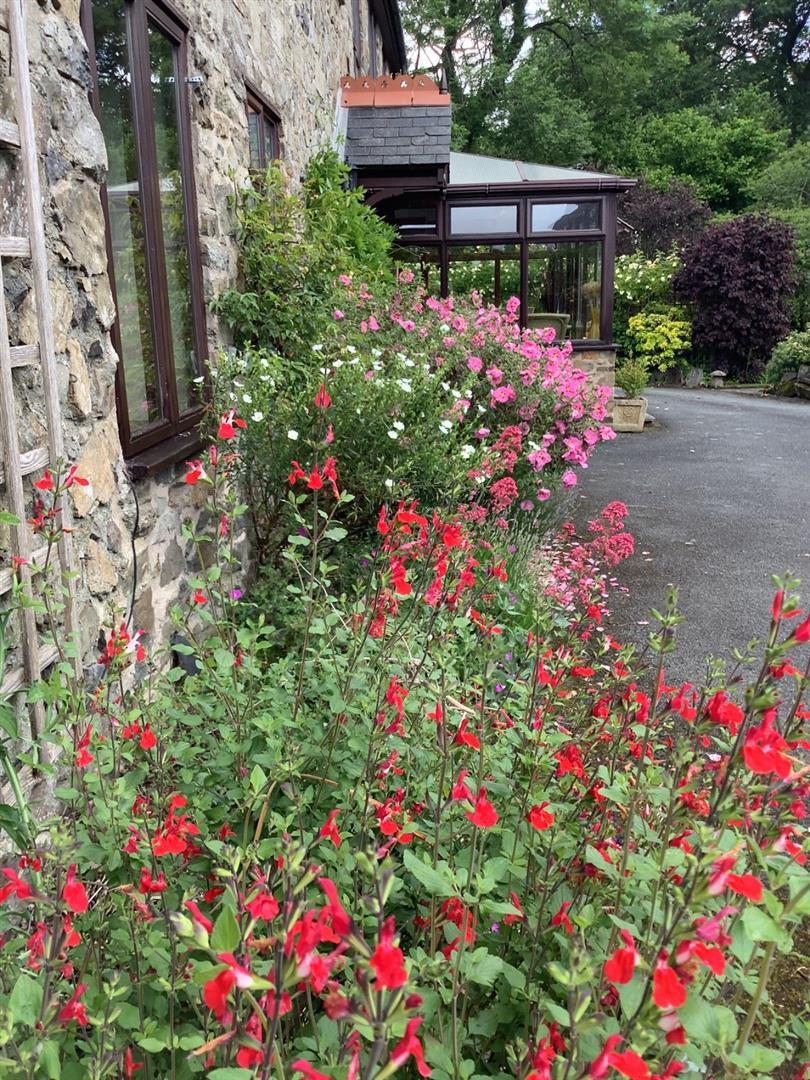 Property Image 7d1f3a5b-7eb1-4dff-8814-3cbbf4ed86bc