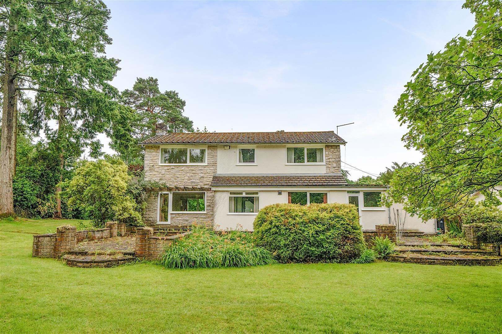 Property Image 7d53657e-1c65-4f33-a12a-c8c9d449fcc0
