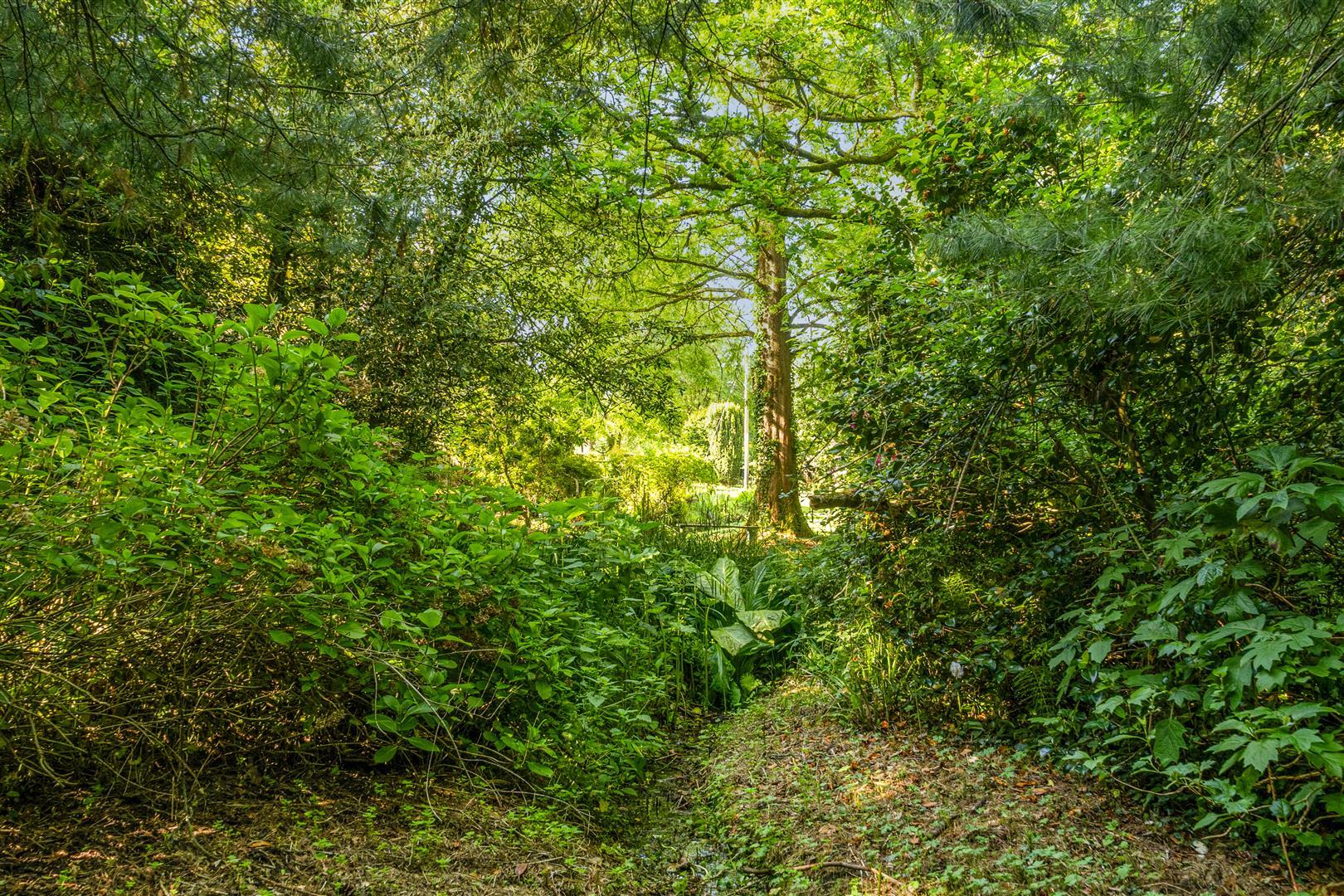 Property Image 7d6e14d6-96fc-49f1-8ca8-8df7f4d1d5e7