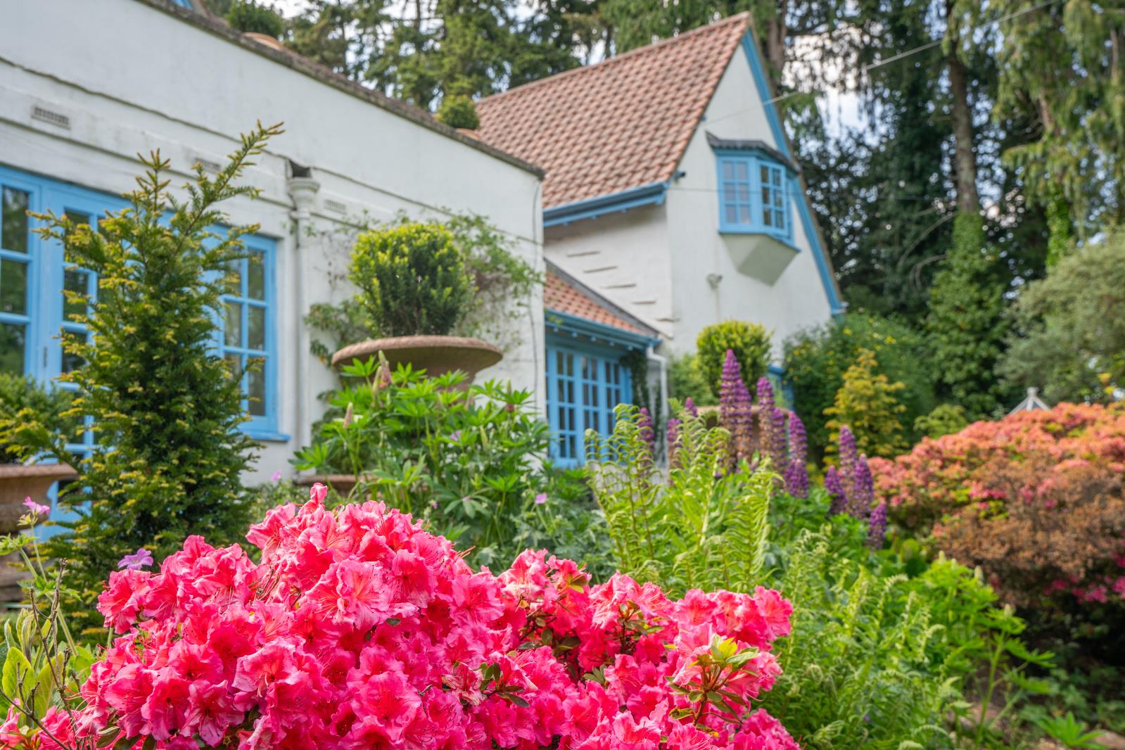 Property Image 7d772d62-364b-42dc-9746-532bb54e74c3