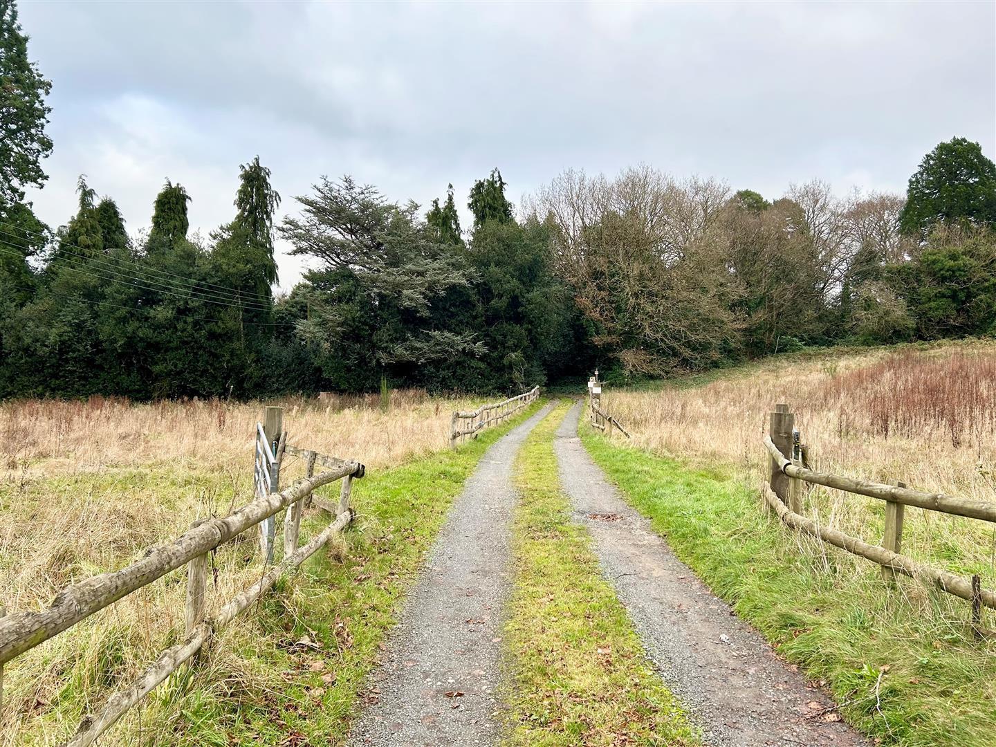 Property Image 7d91b0ea-4a2d-42d8-b4bd-a12641167b91