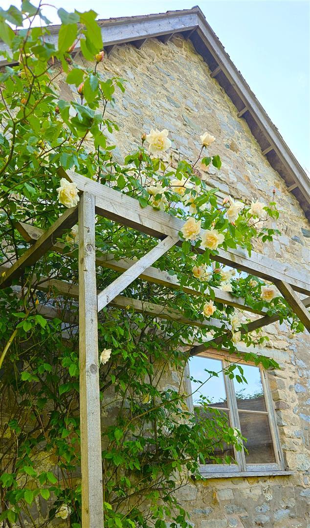 Property Image 7db3e23e-1234-494d-81fe-e7c5871d769f