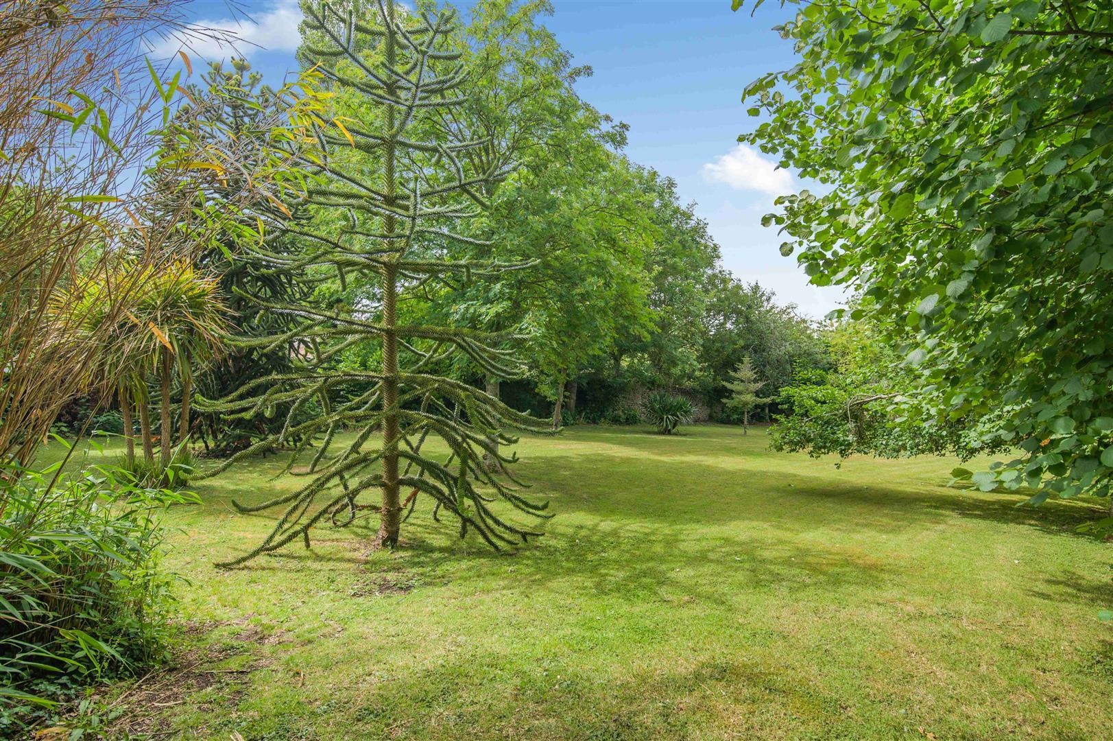 Property Image 7dc13504-5a59-4d9e-bf15-2e48f18870cd