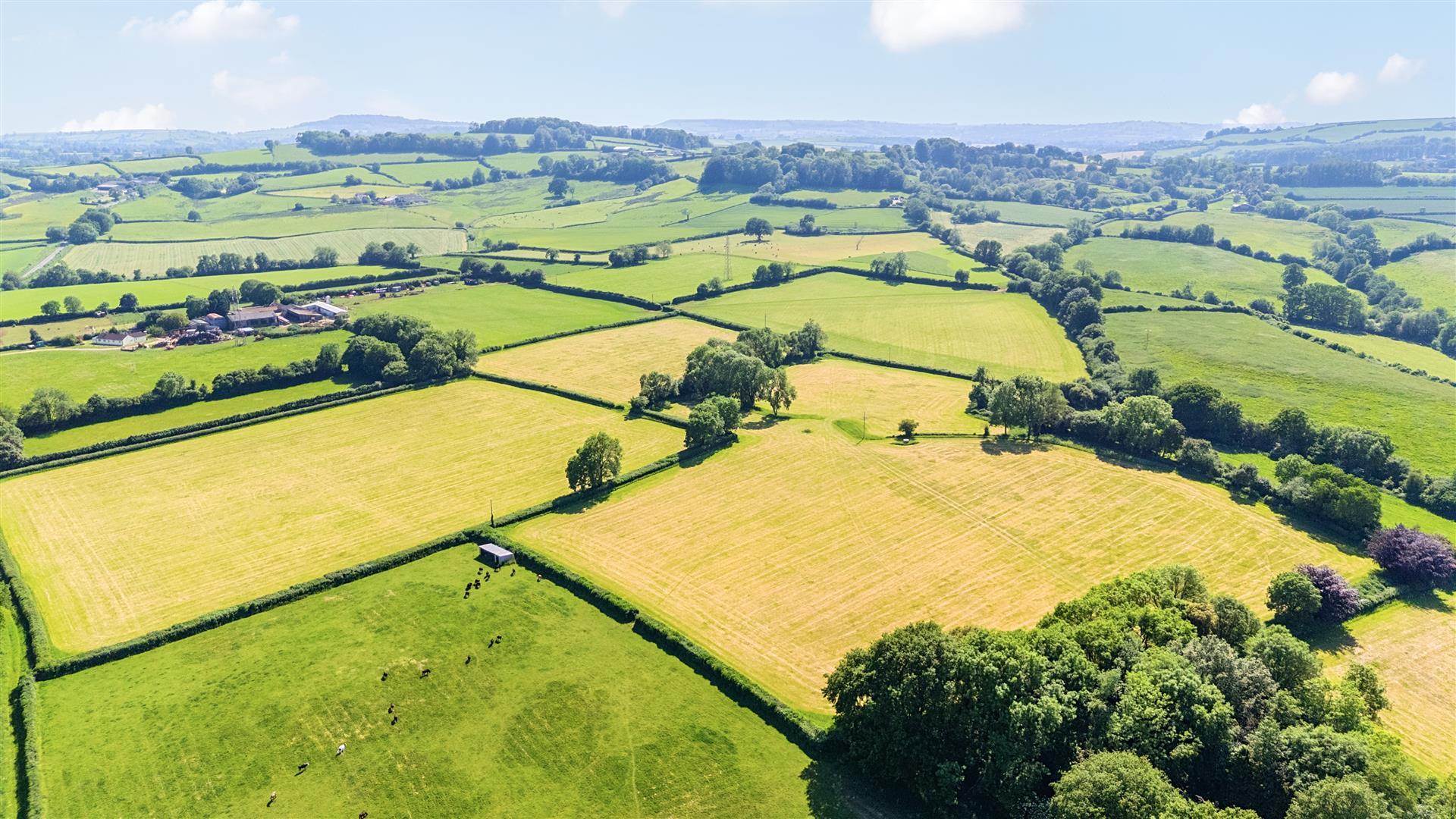 Property Image 7dc49c36-4e6e-458d-84c9-f5c0e1eb6e5a