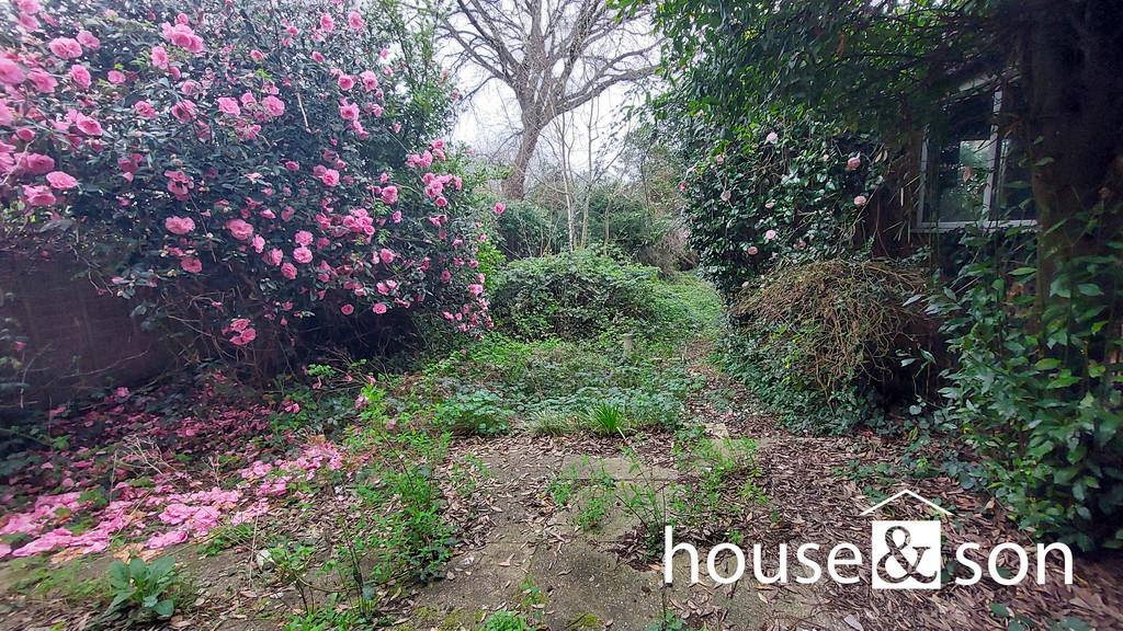 Property Image 7dd553f2-88f5-4ff2-99c7-c7ba83e387aa