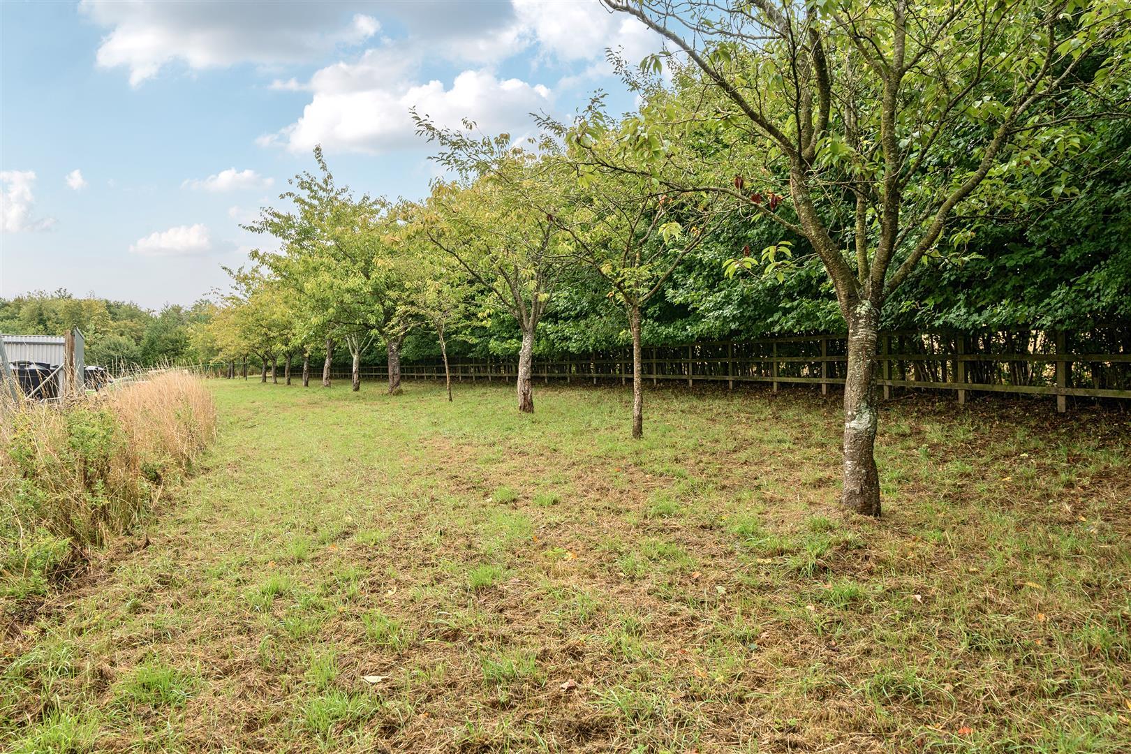 Property Image 7de2058c-2abf-4597-8799-2cde7a56489e