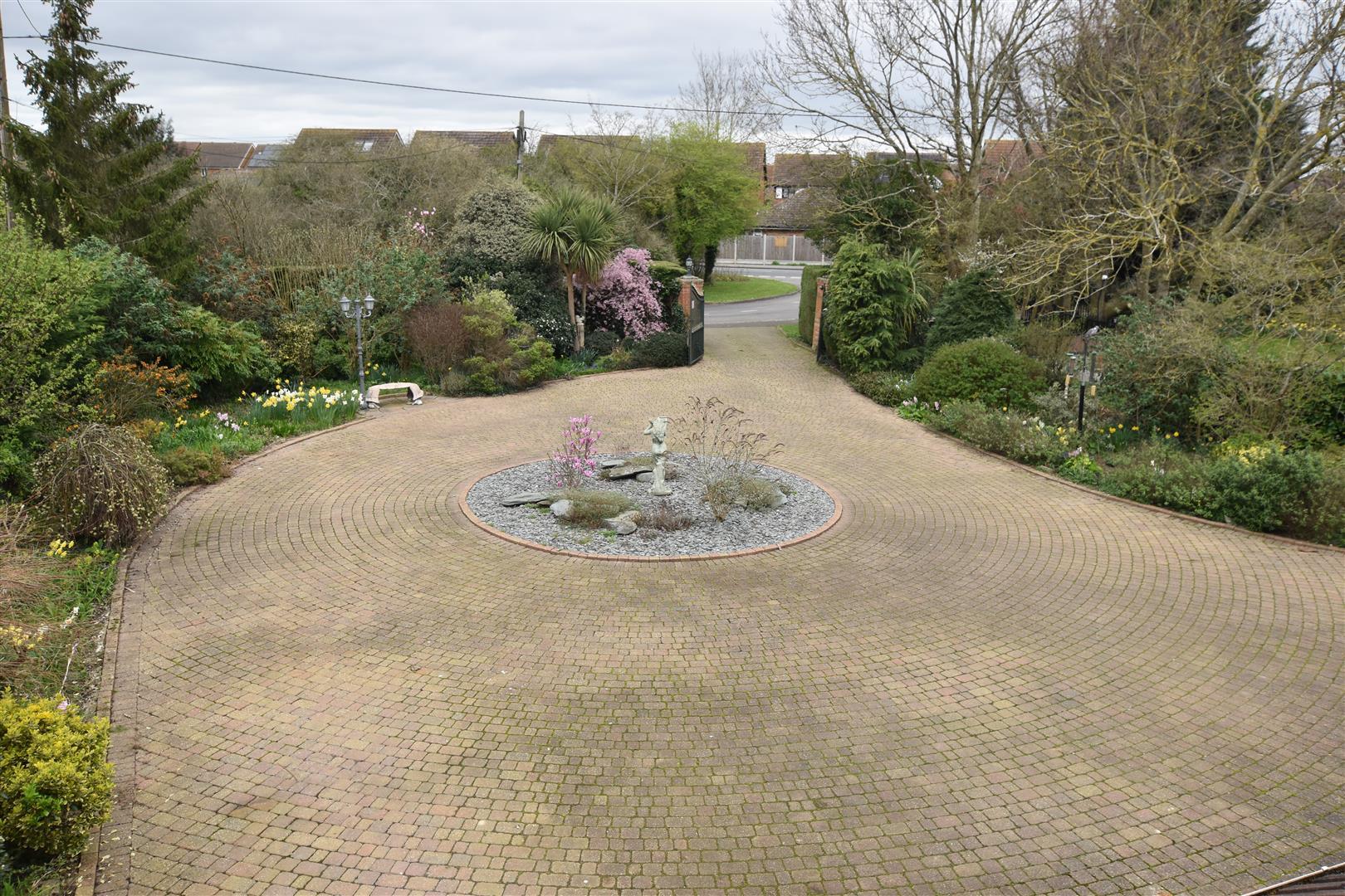 Image 16