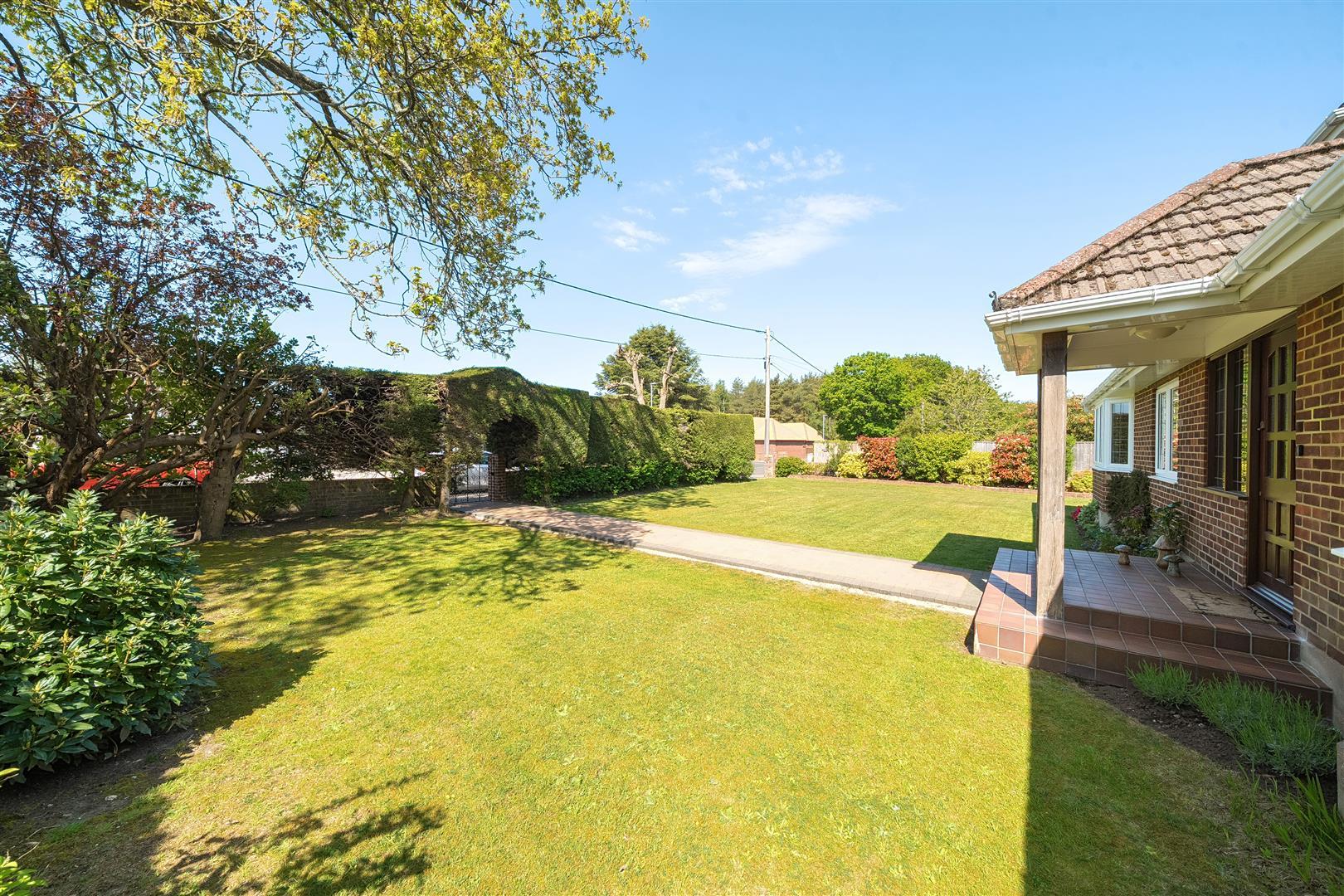 Property Image 7df220f4-3170-49d5-b487-197b5fcf3121