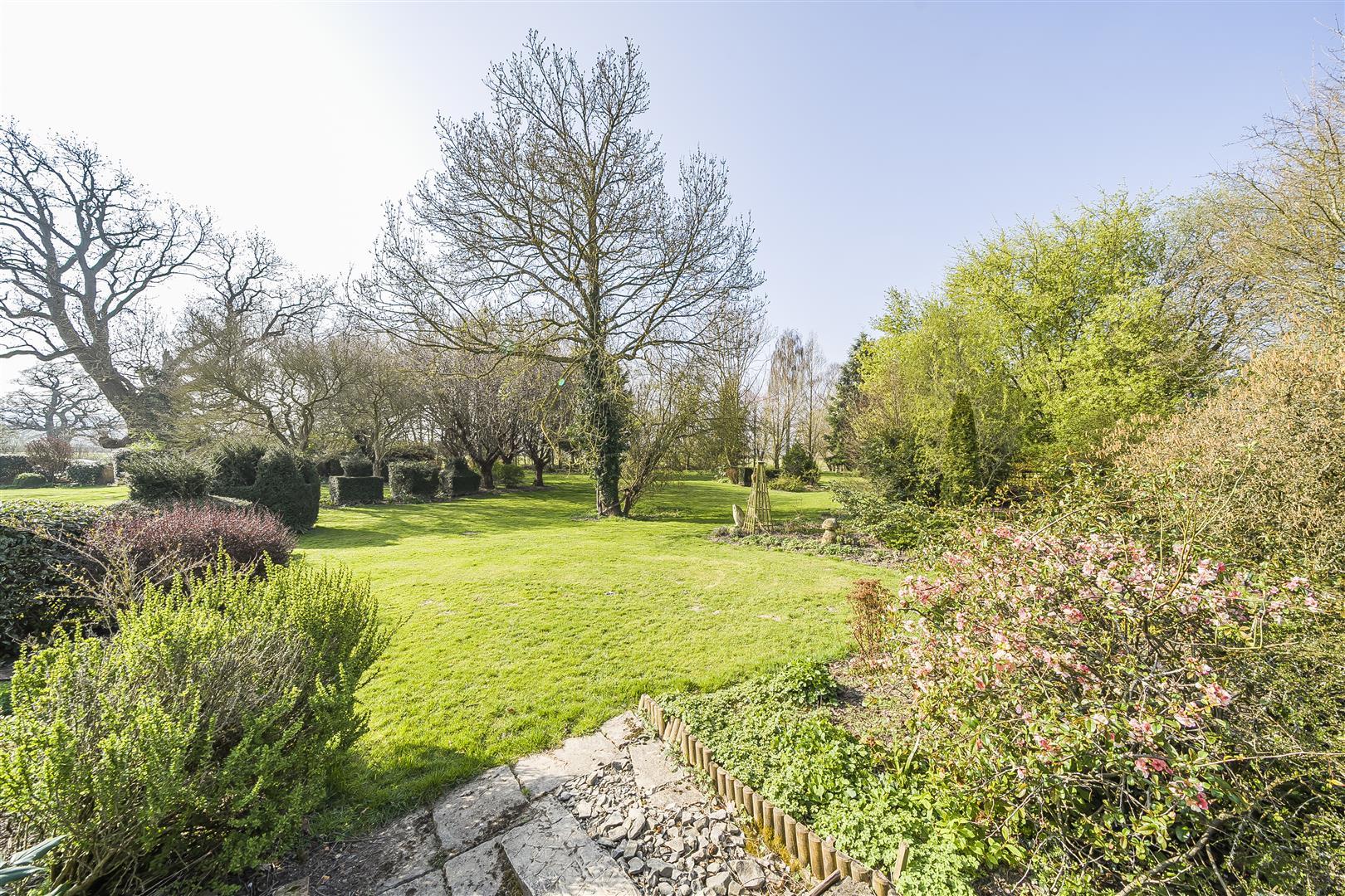 Property Image 7e018fa3-5872-4640-a43c-aa97d1dcf346