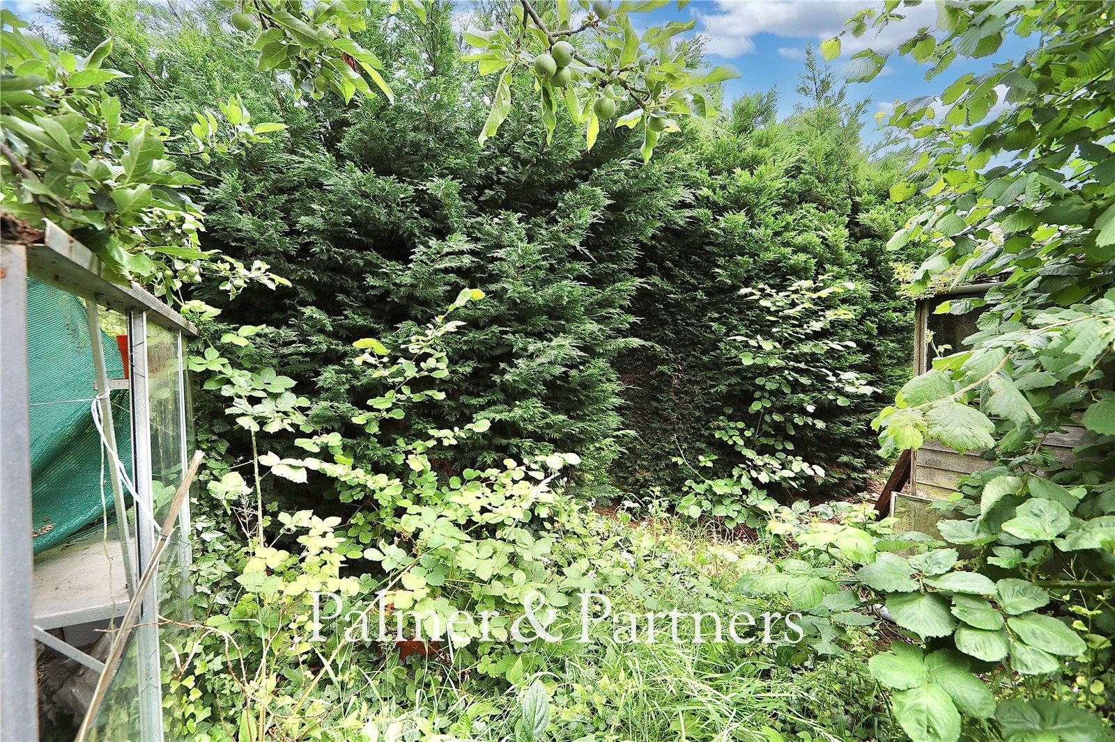 Property Image 7e0bdfba-0b0b-41b1-8d12-775409ceeacb