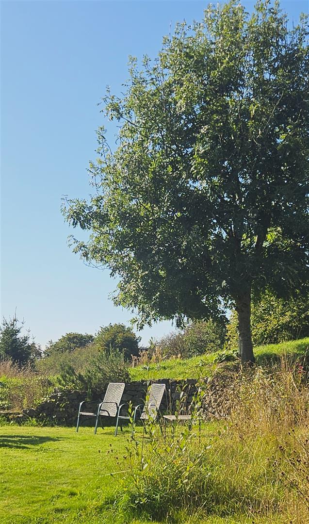 Property Image 7e2e9113-8e38-4d87-9817-416ecb163d75
