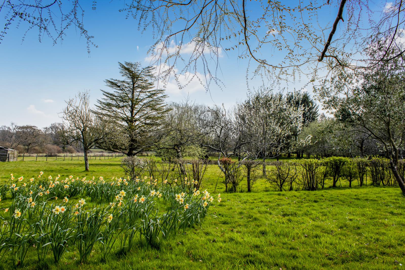 Property Image 7e3bac47-ecdb-431c-94be-6a16f759820d
