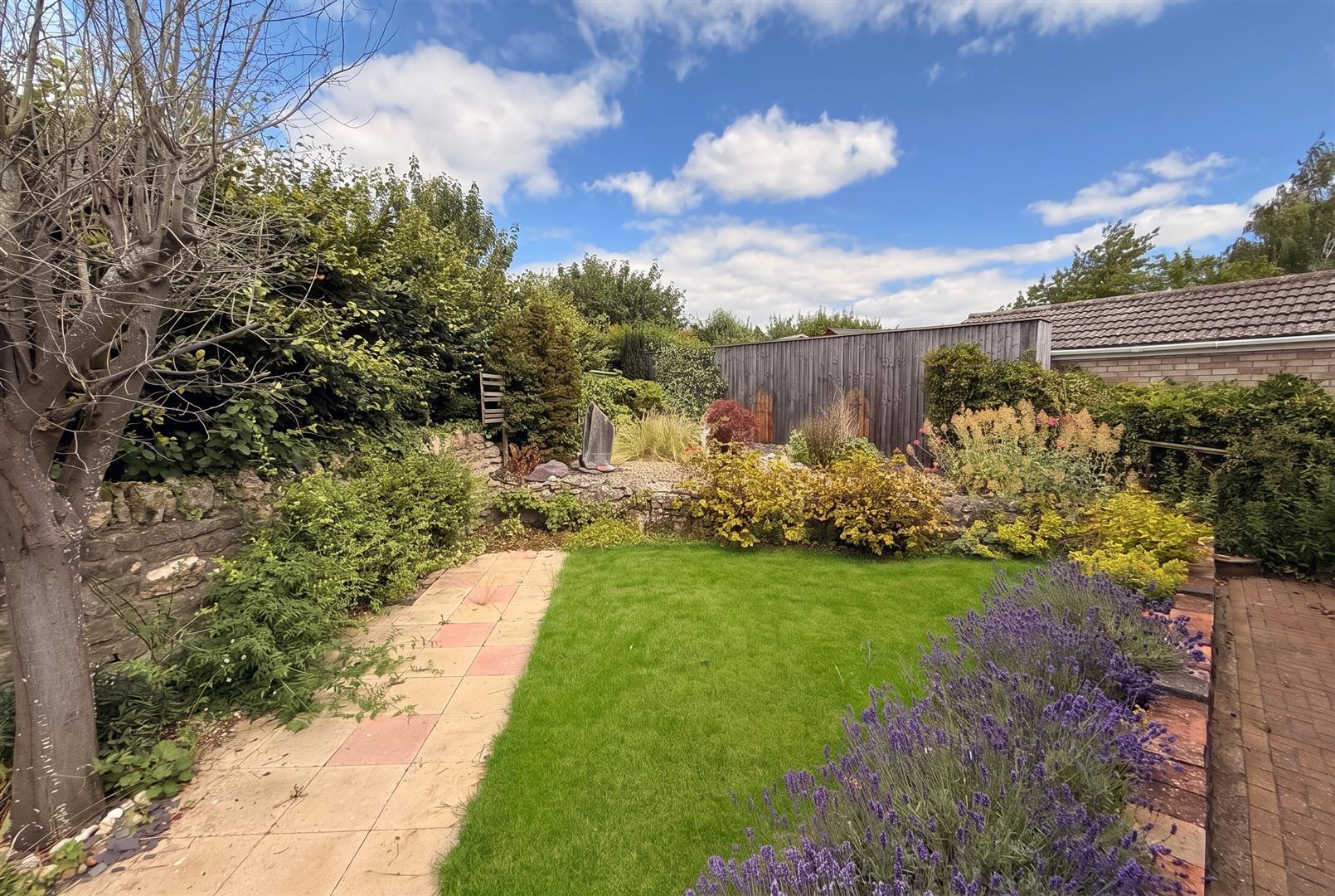 Property Image 7e4e3035-0ca9-4842-aebc-a7b39fa90f13