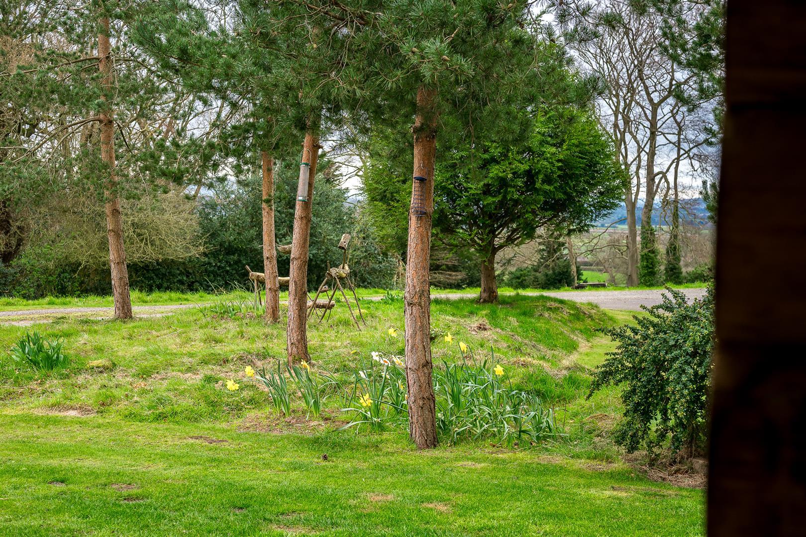 Property Image 7e760741-d4a4-44b5-abd6-24766e97f39f