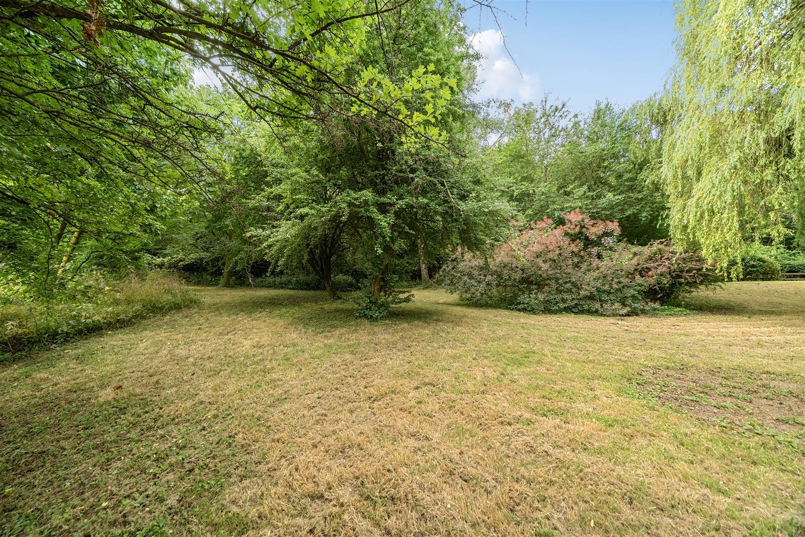 Property Image 7e7c5cfa-9620-4a1c-bc27-8741a62578dc