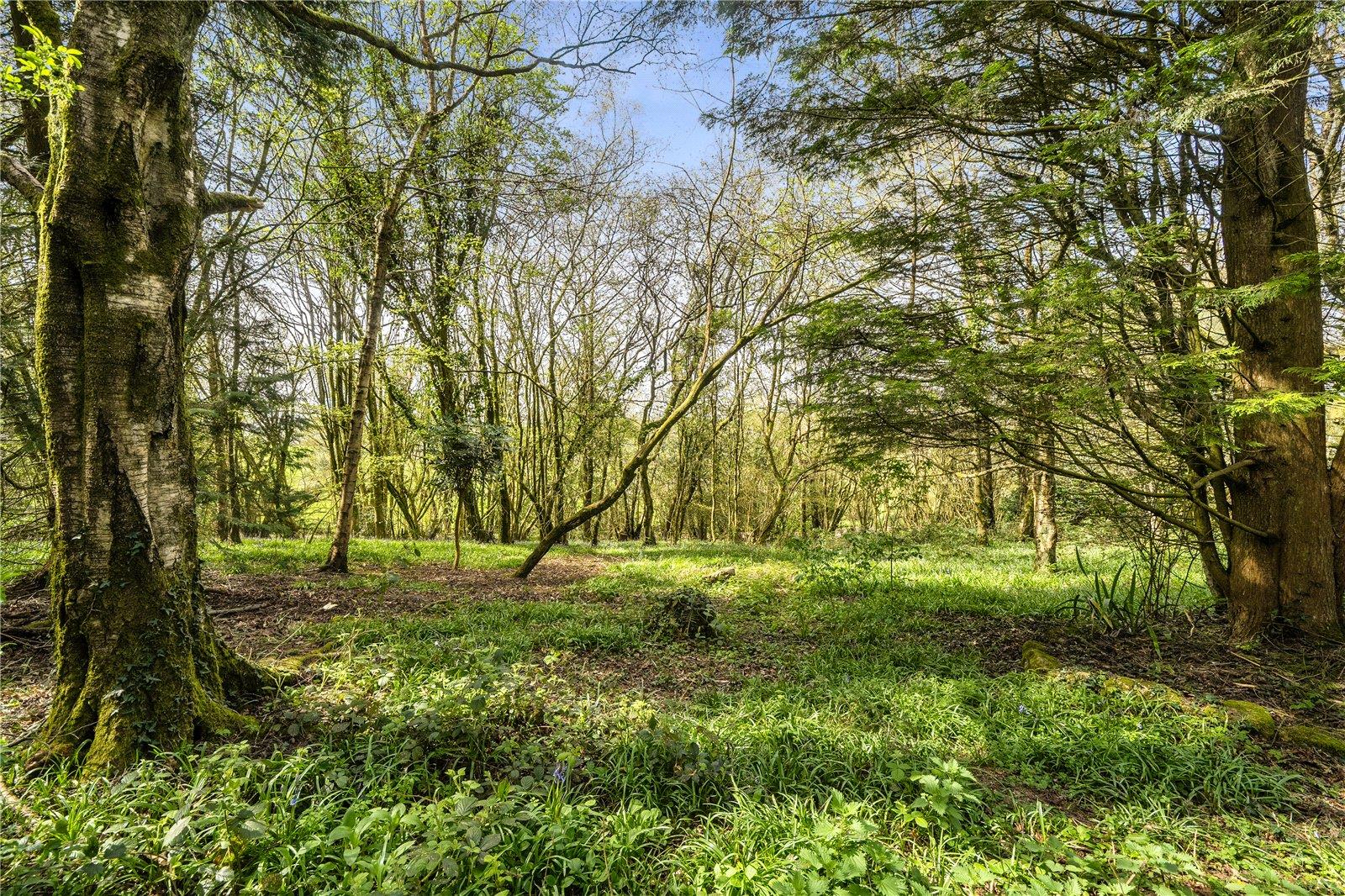 Property Image 7e9113ec-d343-4284-b9a0-b3a746bf38dc