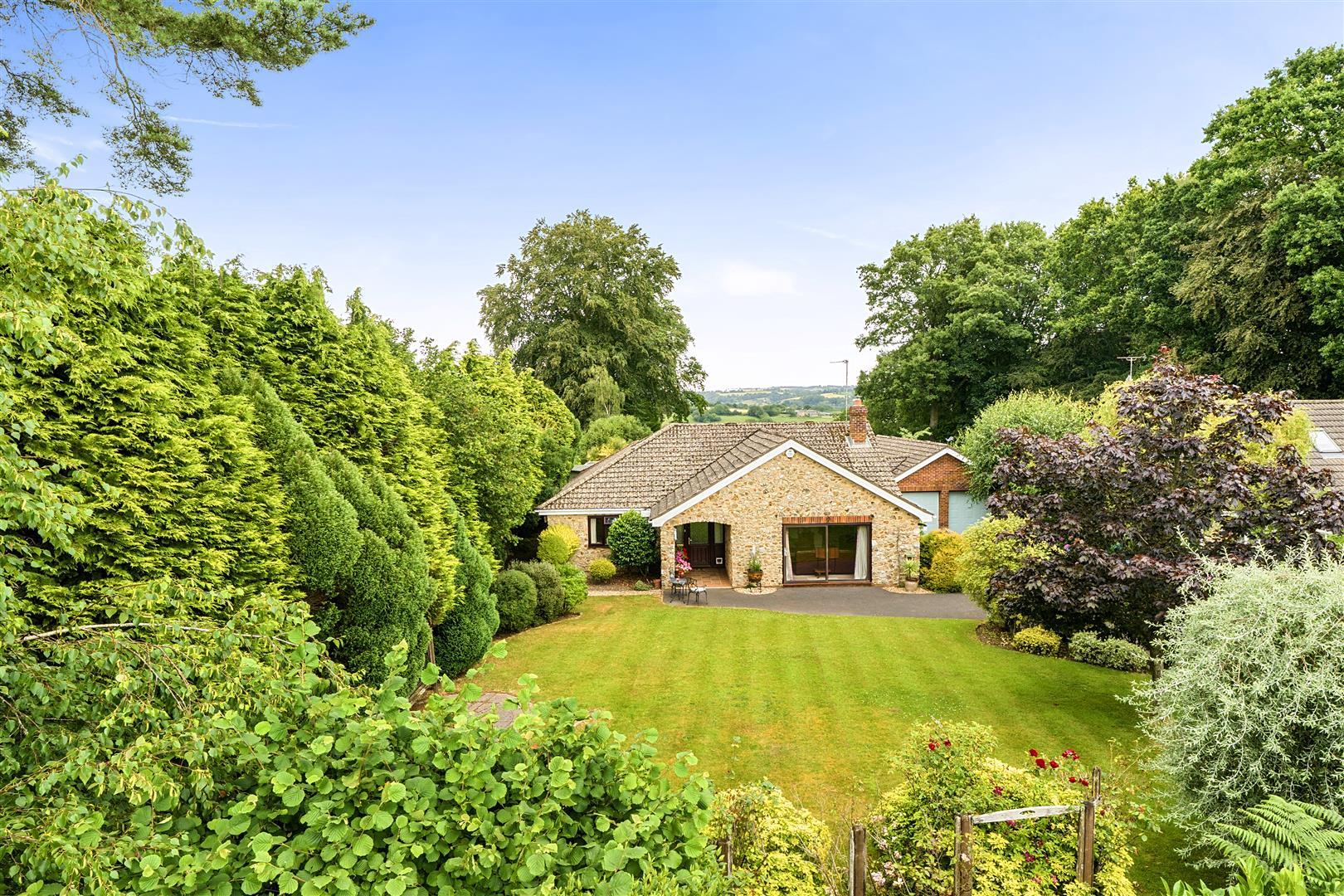 Property Image 7e9ca8b6-d6cf-4481-b2dd-35f46622ca0f